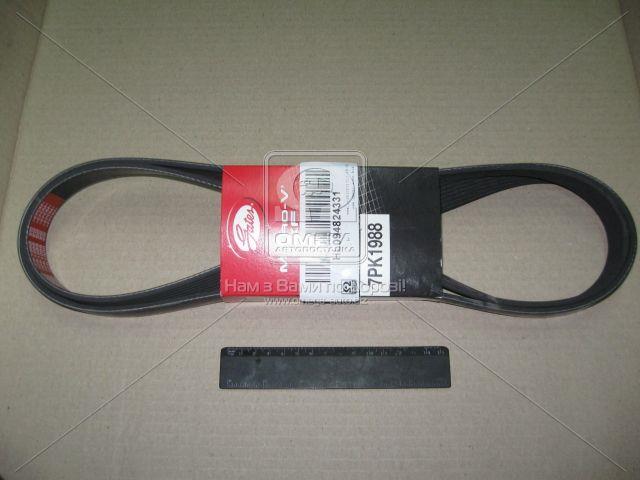 7PK1988 GATES