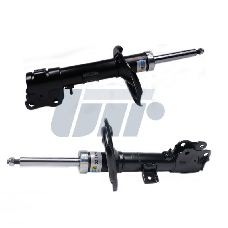 22172679 BILSTEIN