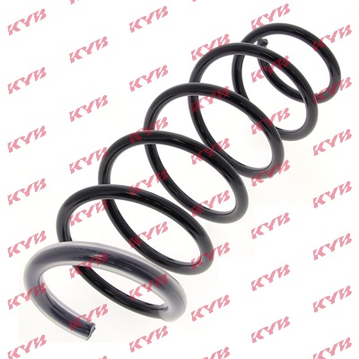 RH6069 KYB