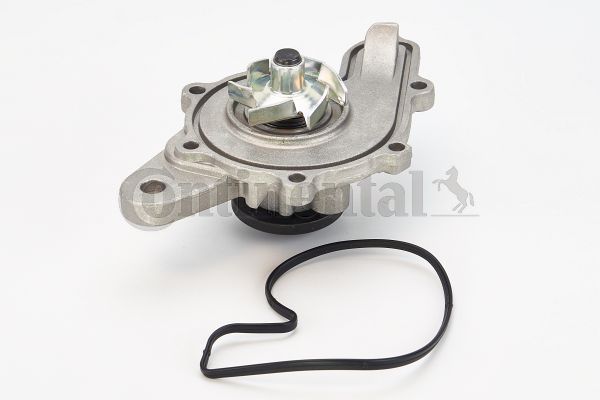 WPS3013 CONTITECH