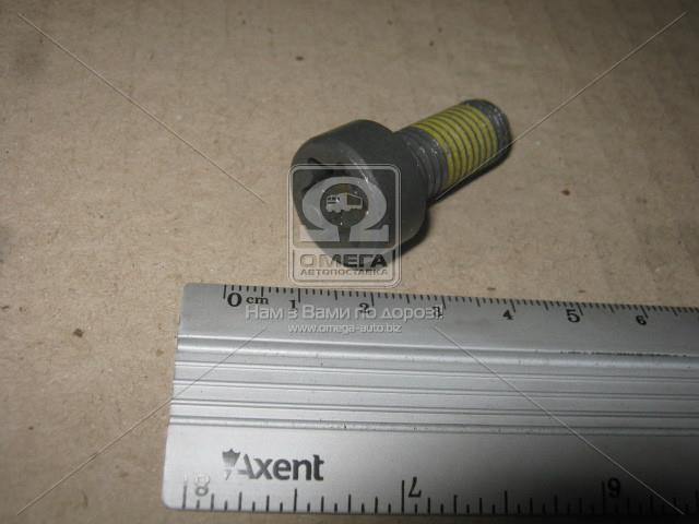 Болт маховика transit/mondeo 2000-2006 (m11x25mm)