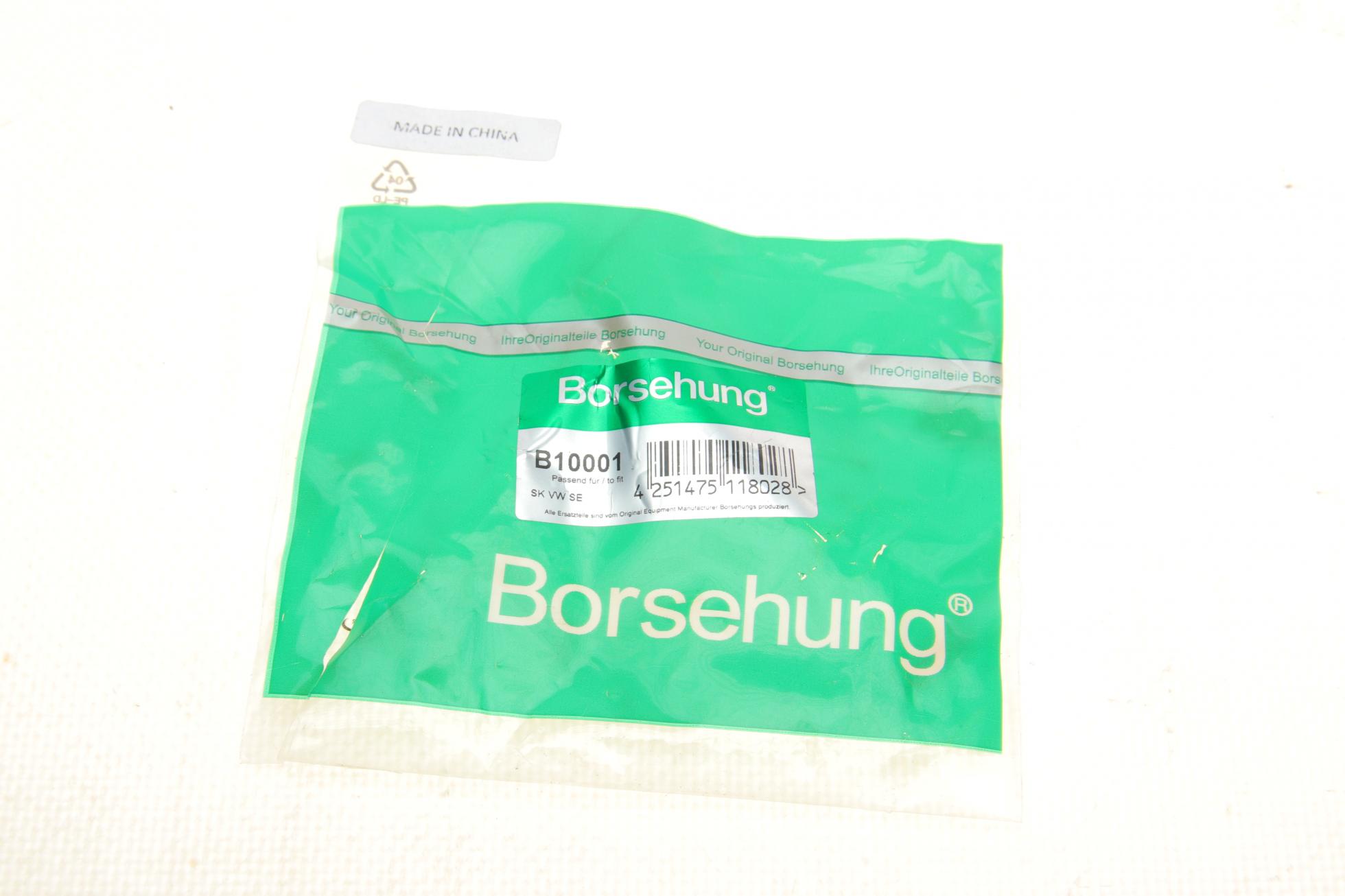 B10001 BORSEHUNG