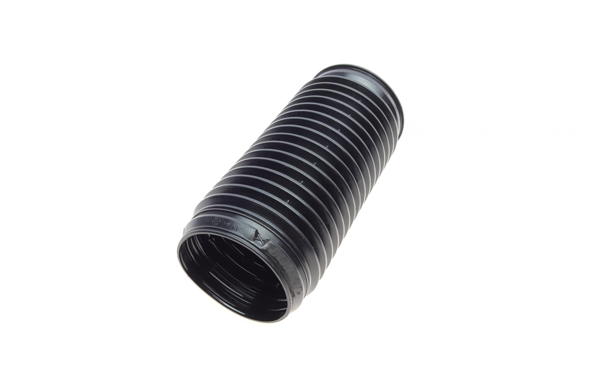 B10028 BORSEHUNG