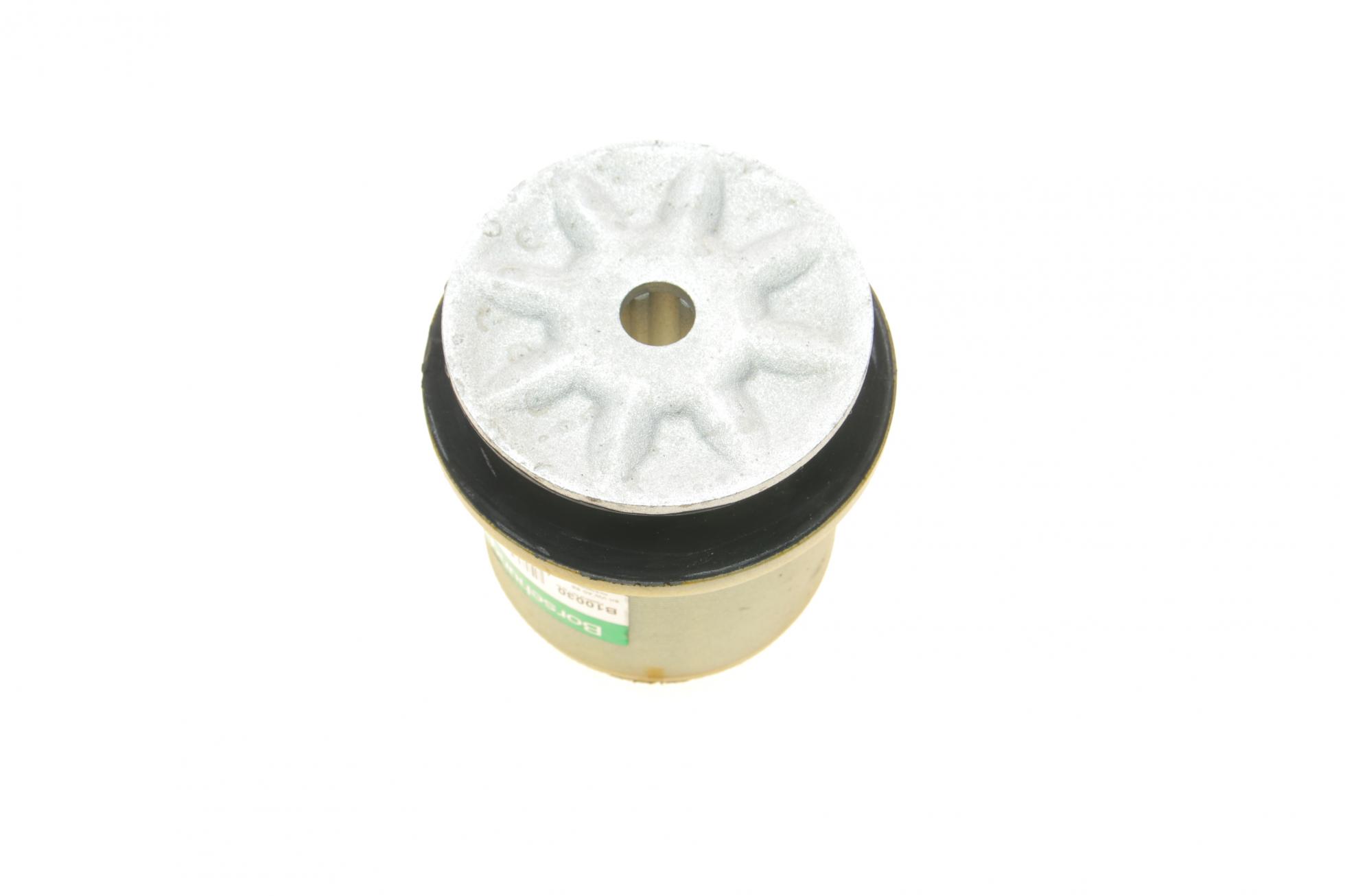 B10030 BORSEHUNG