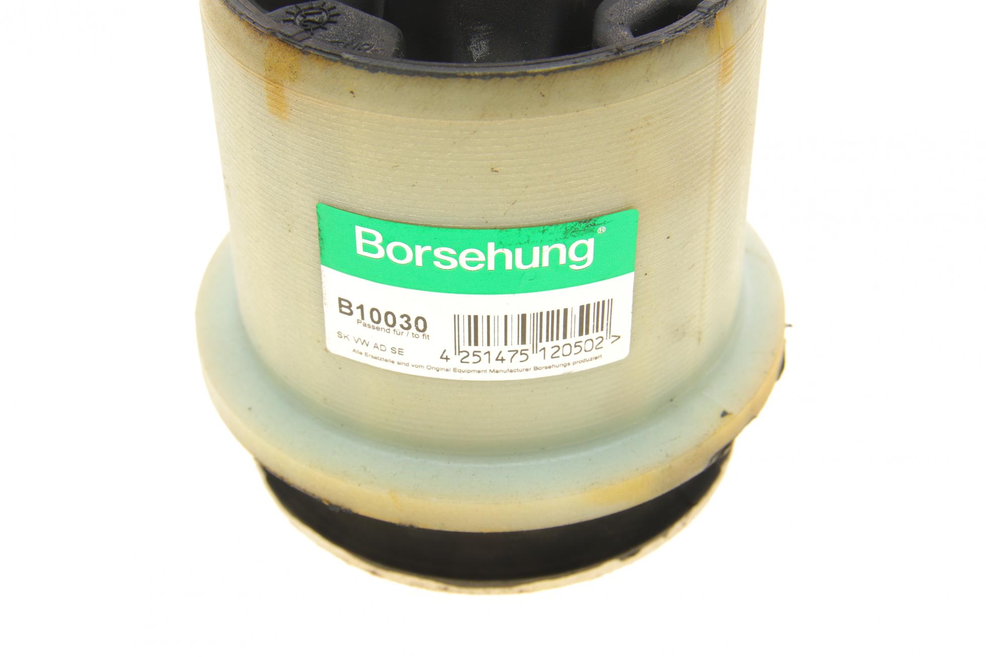B10030 BORSEHUNG
