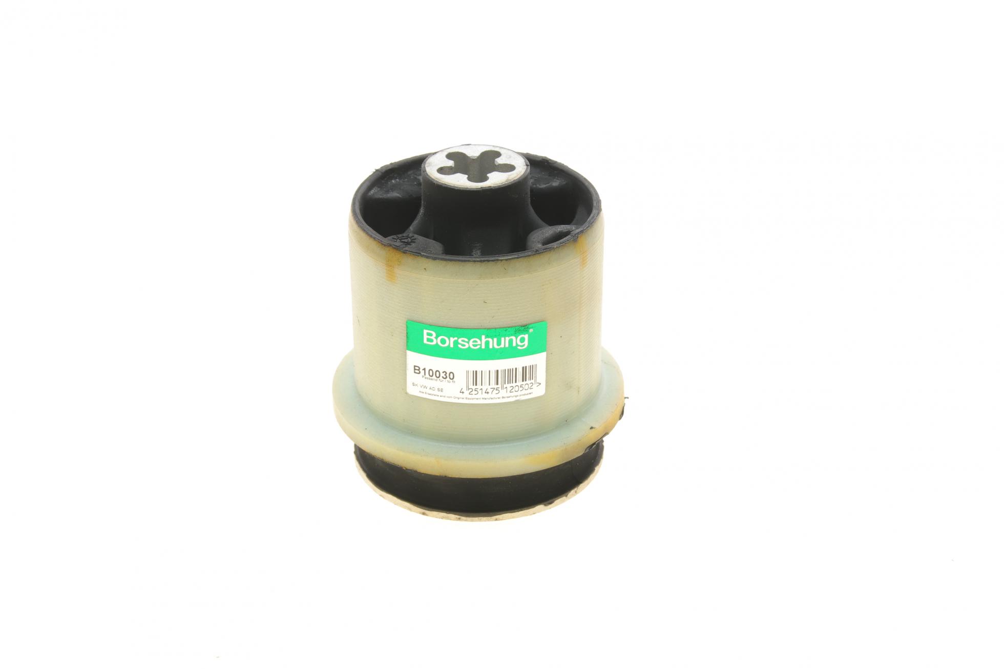 B10030 BORSEHUNG