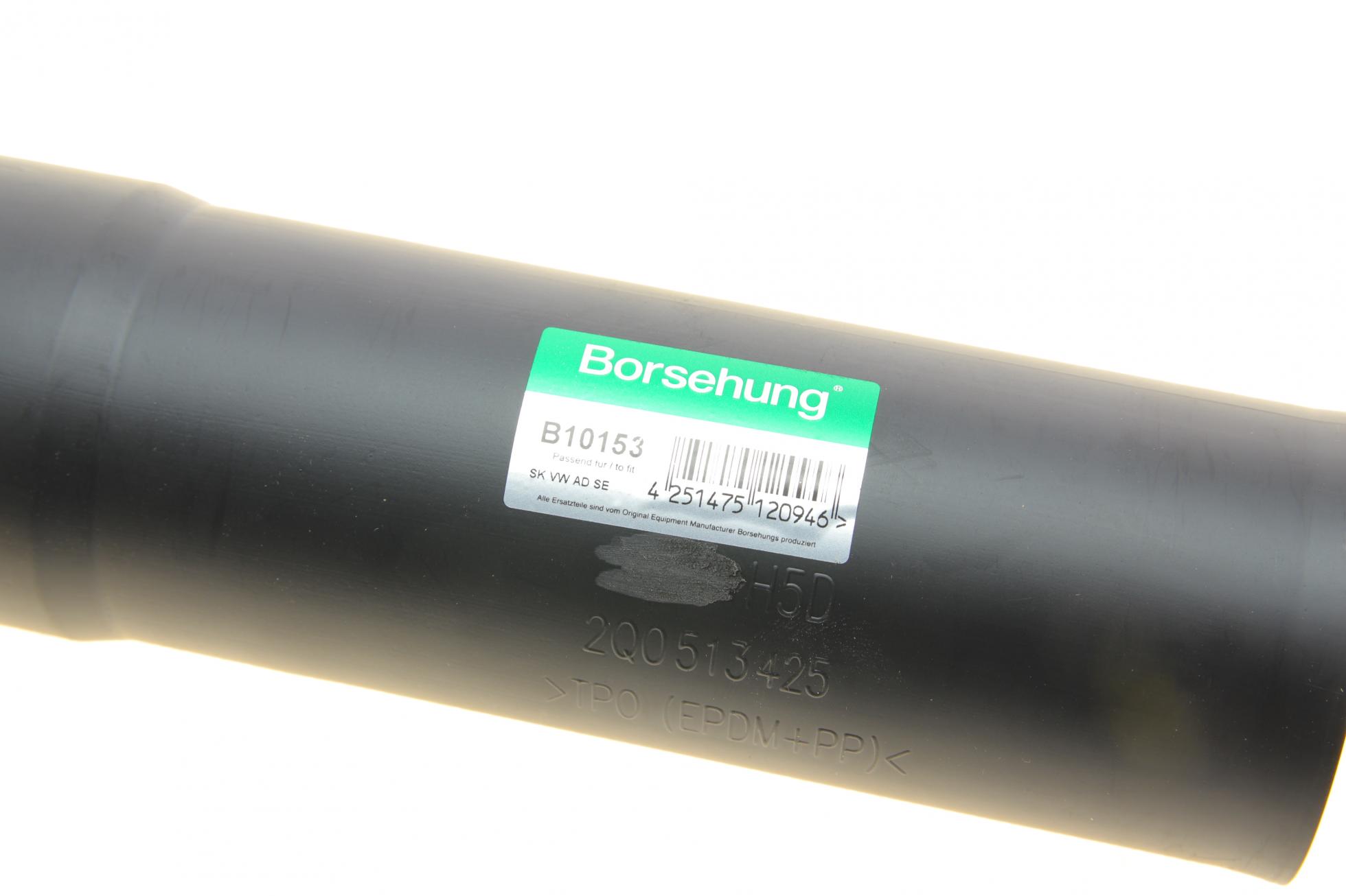 B10153 BORSEHUNG