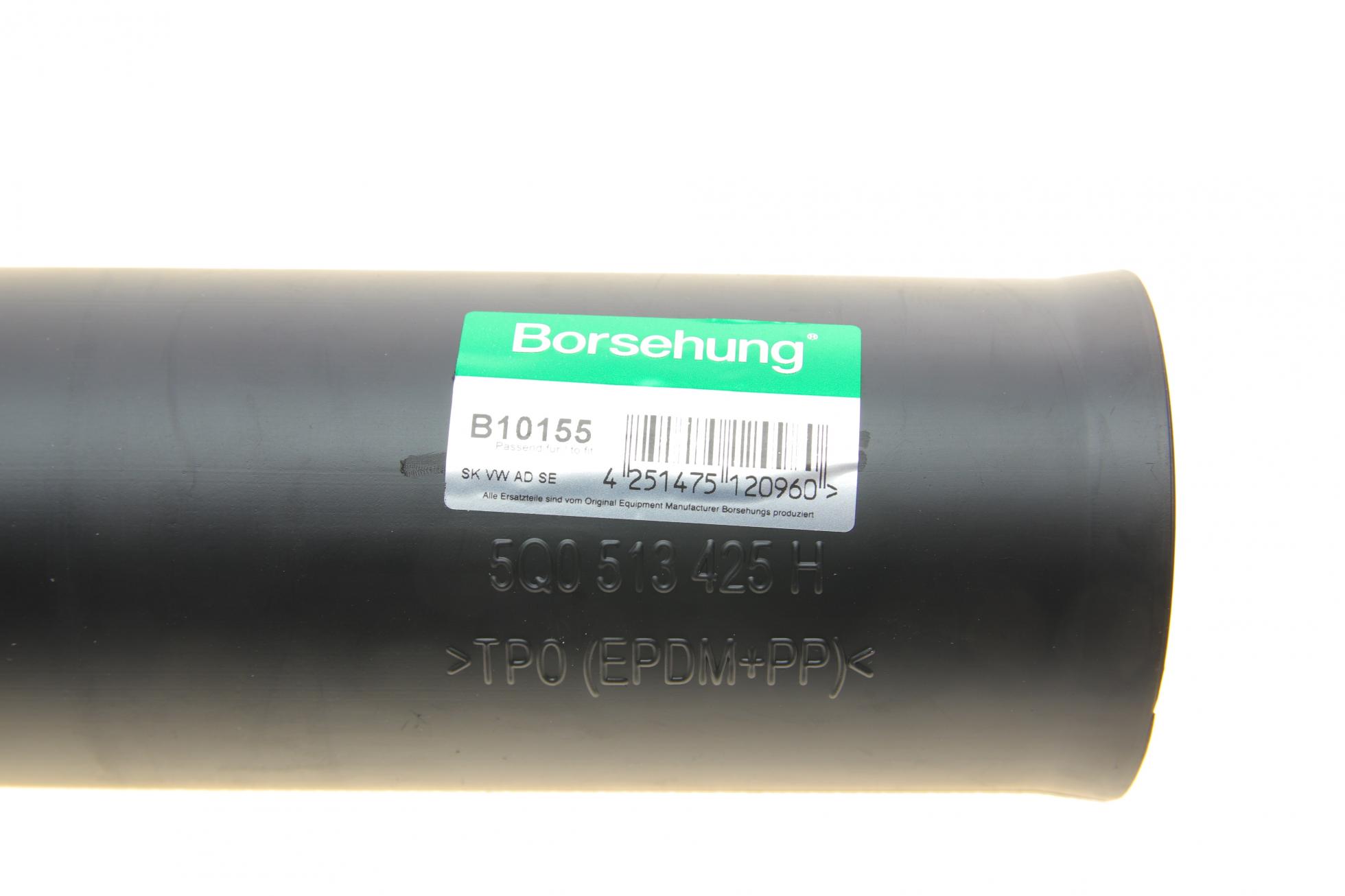 B10155 BORSEHUNG