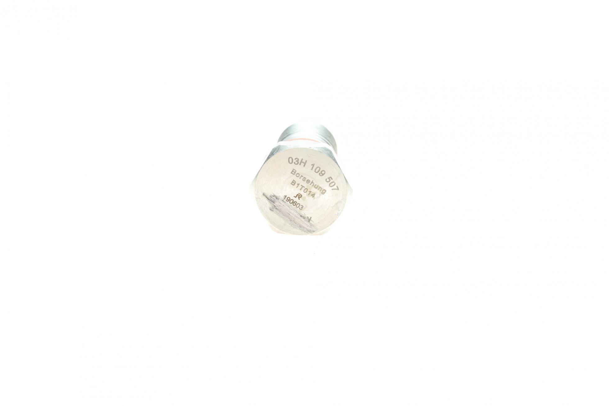 B10207 BORSEHUNG