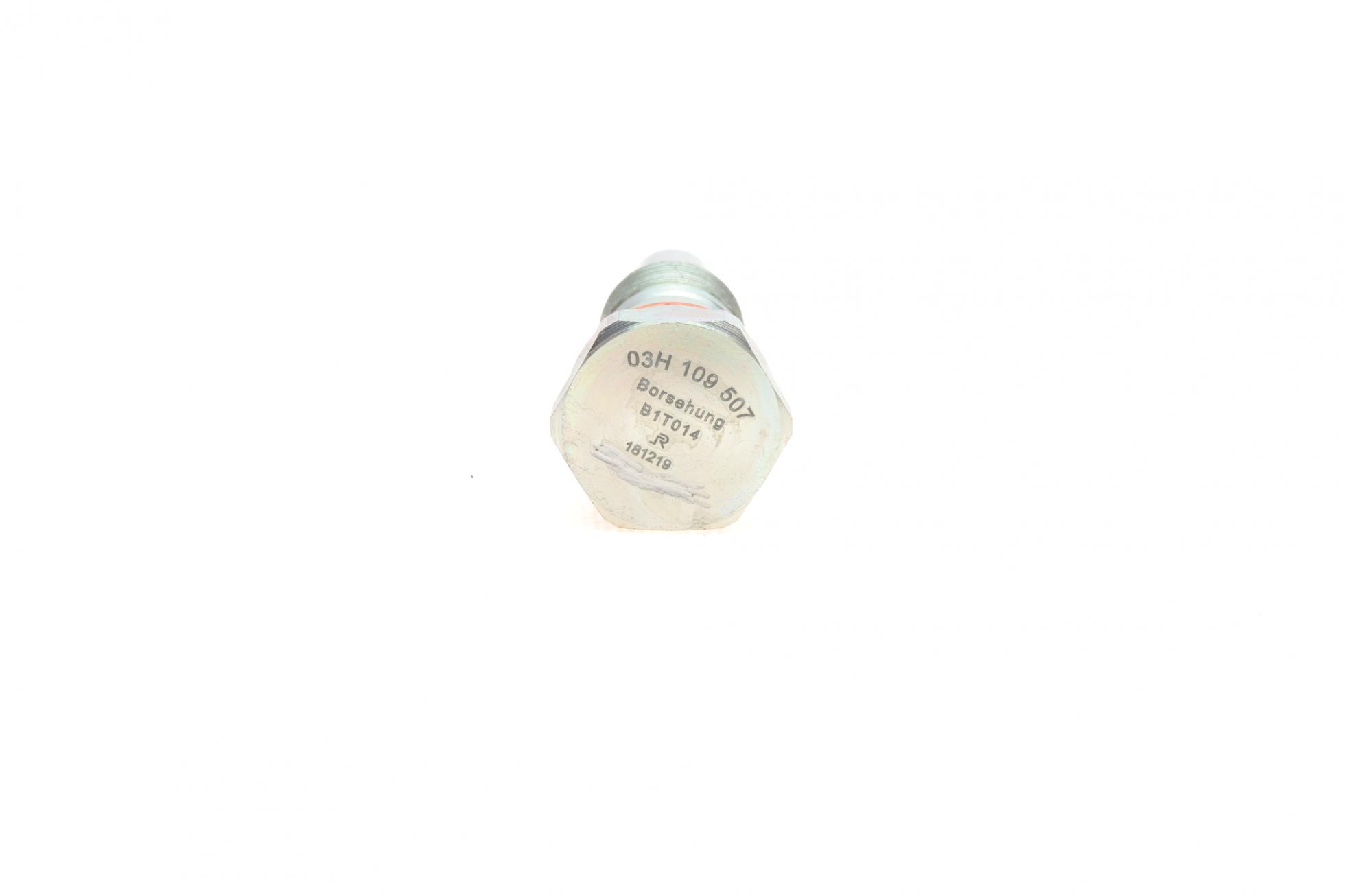B10208 BORSEHUNG