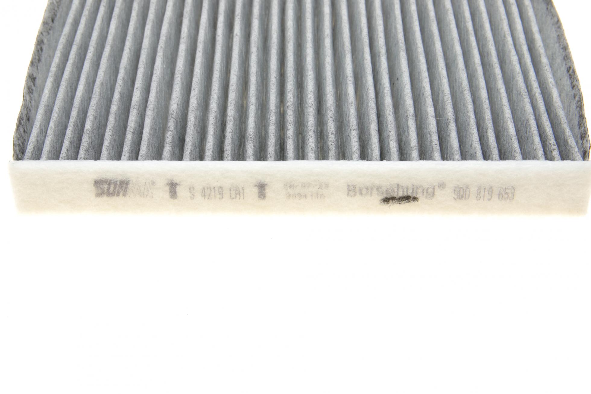 B10513 BORSEHUNG