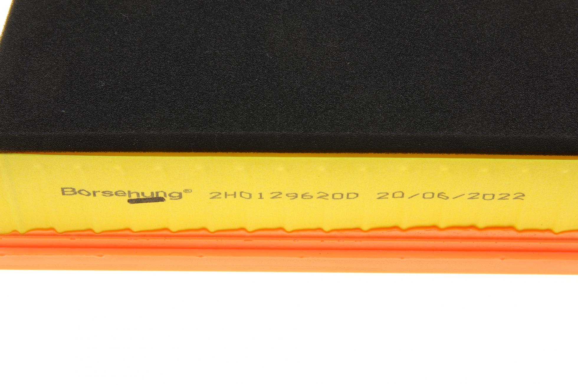 B10526 BORSEHUNG