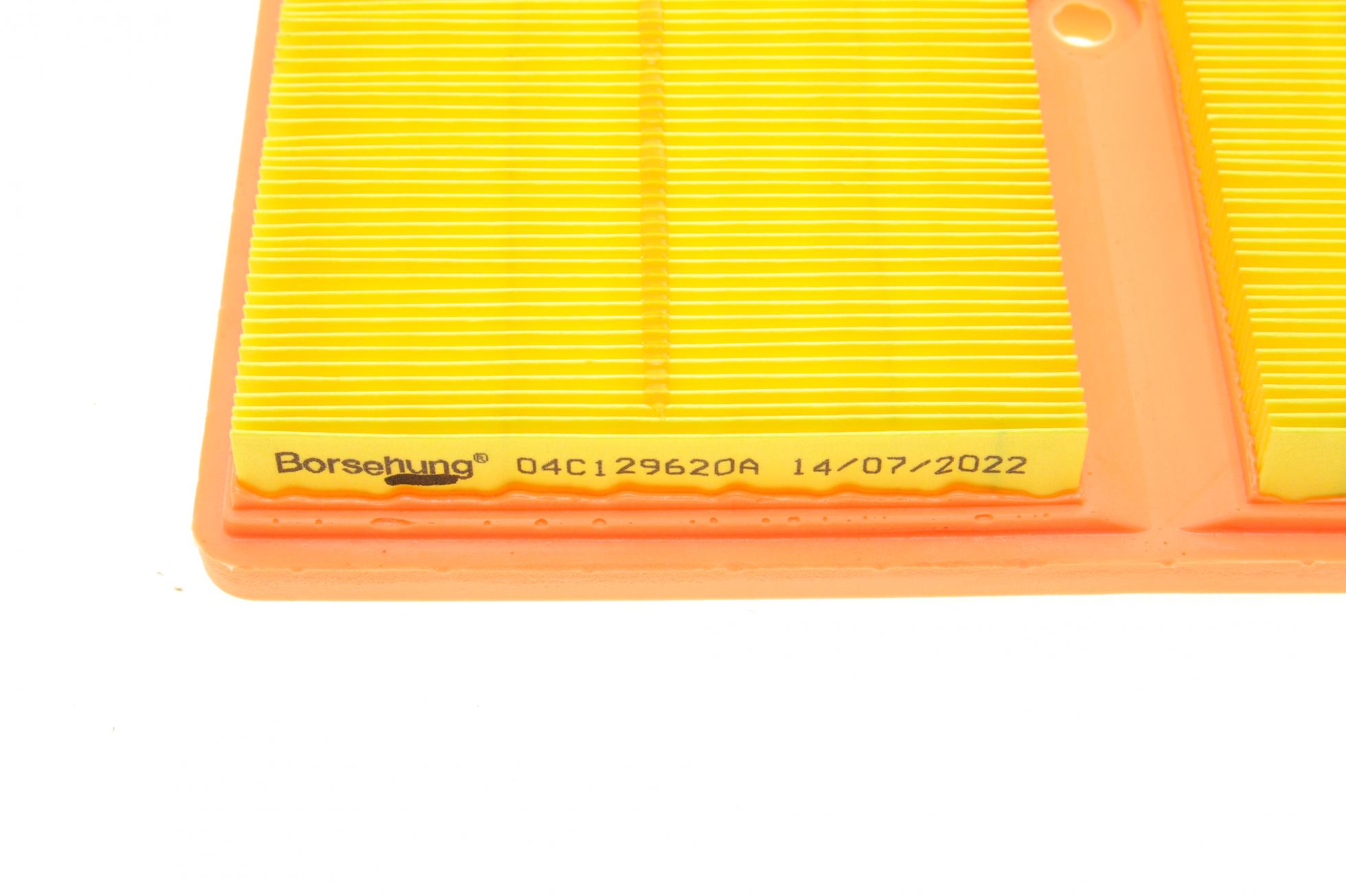 B10528 BORSEHUNG