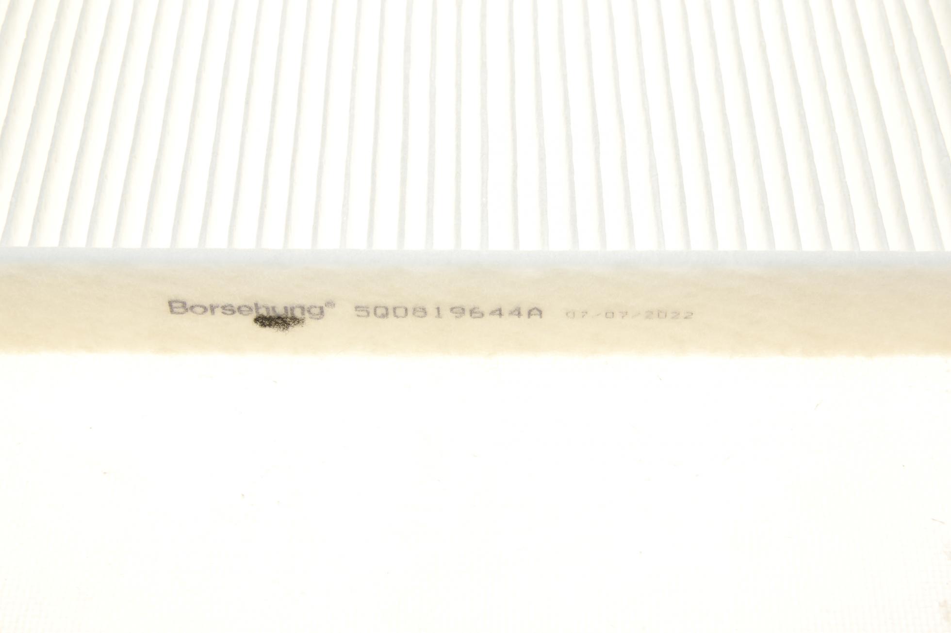 B10529 BORSEHUNG