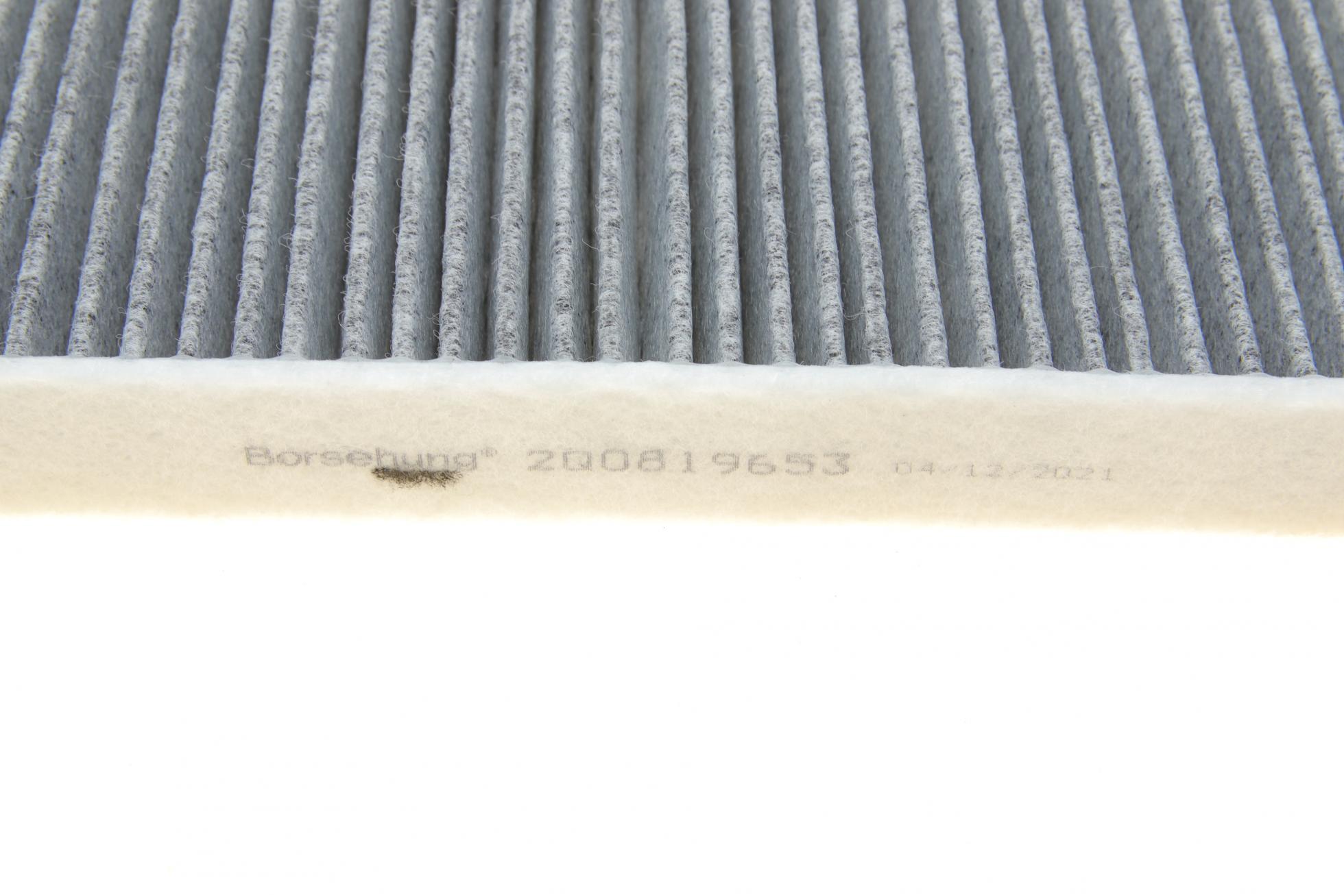 B10534 BORSEHUNG