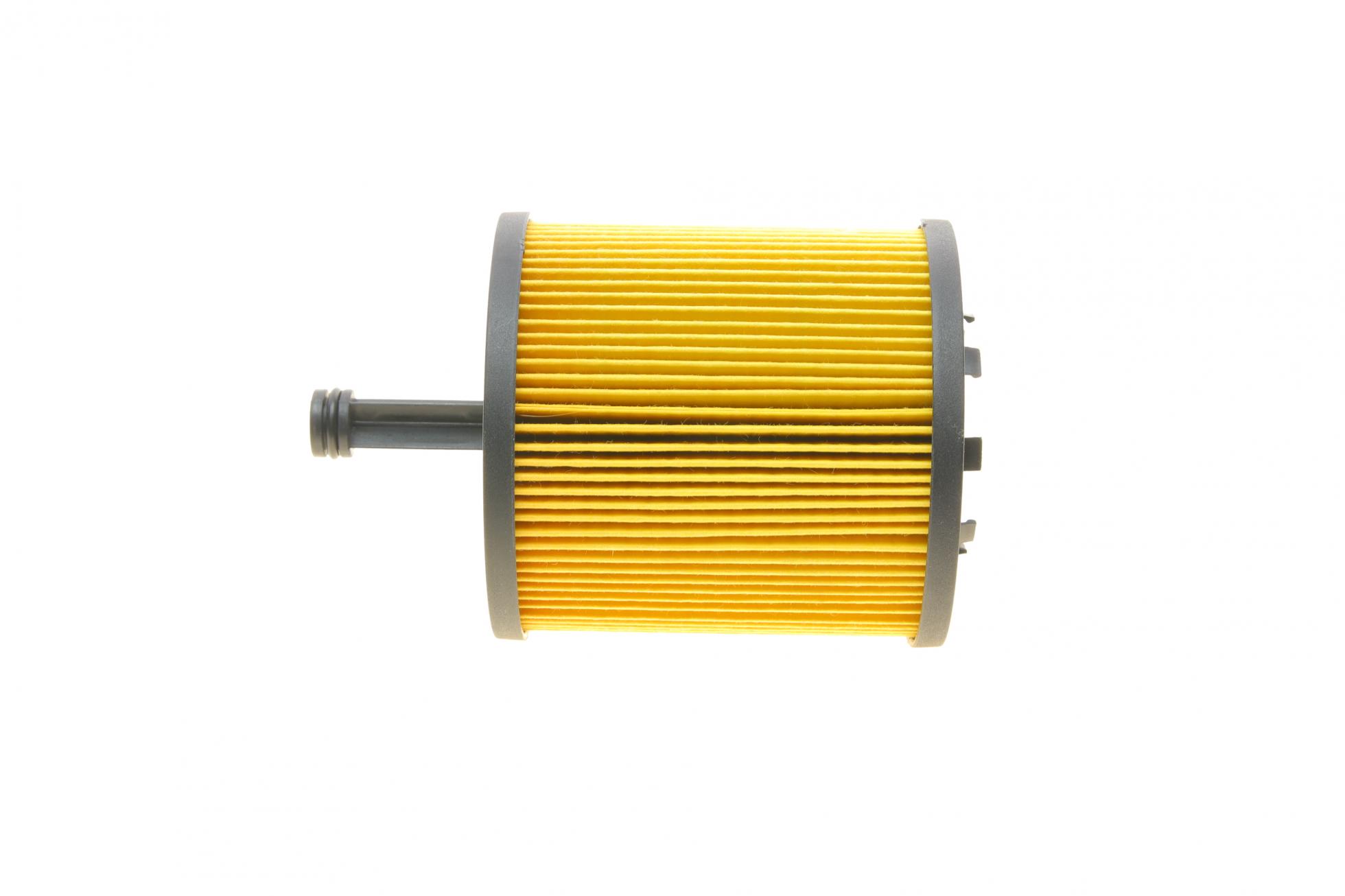B10548 BORSEHUNG