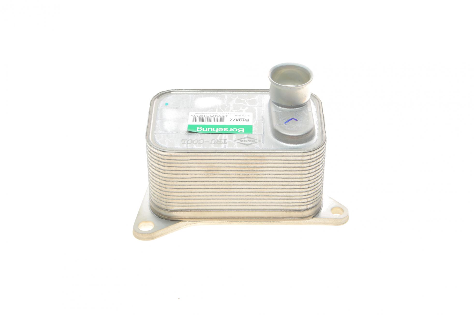 B10877 BORSEHUNG