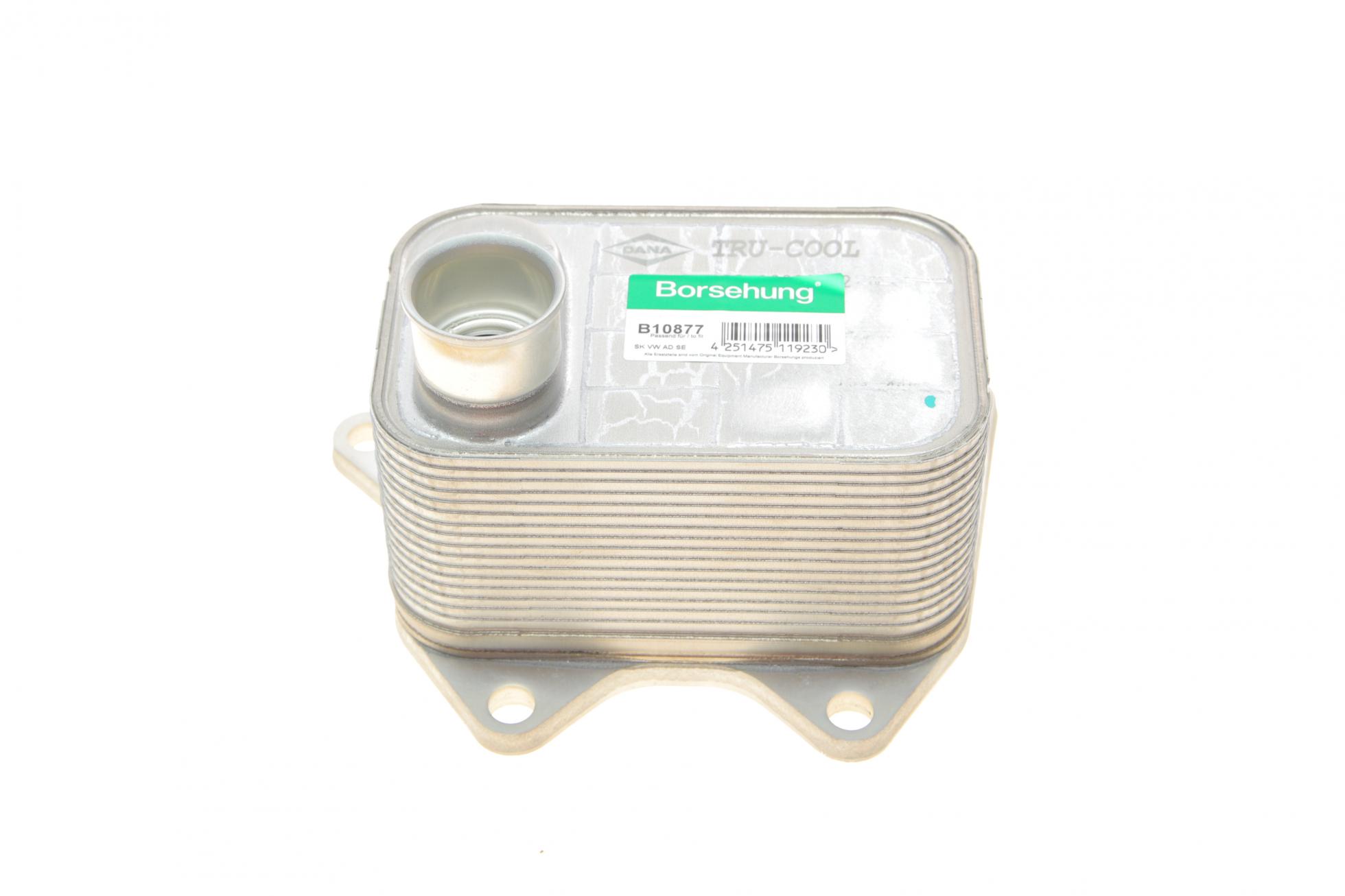 B10877 BORSEHUNG
