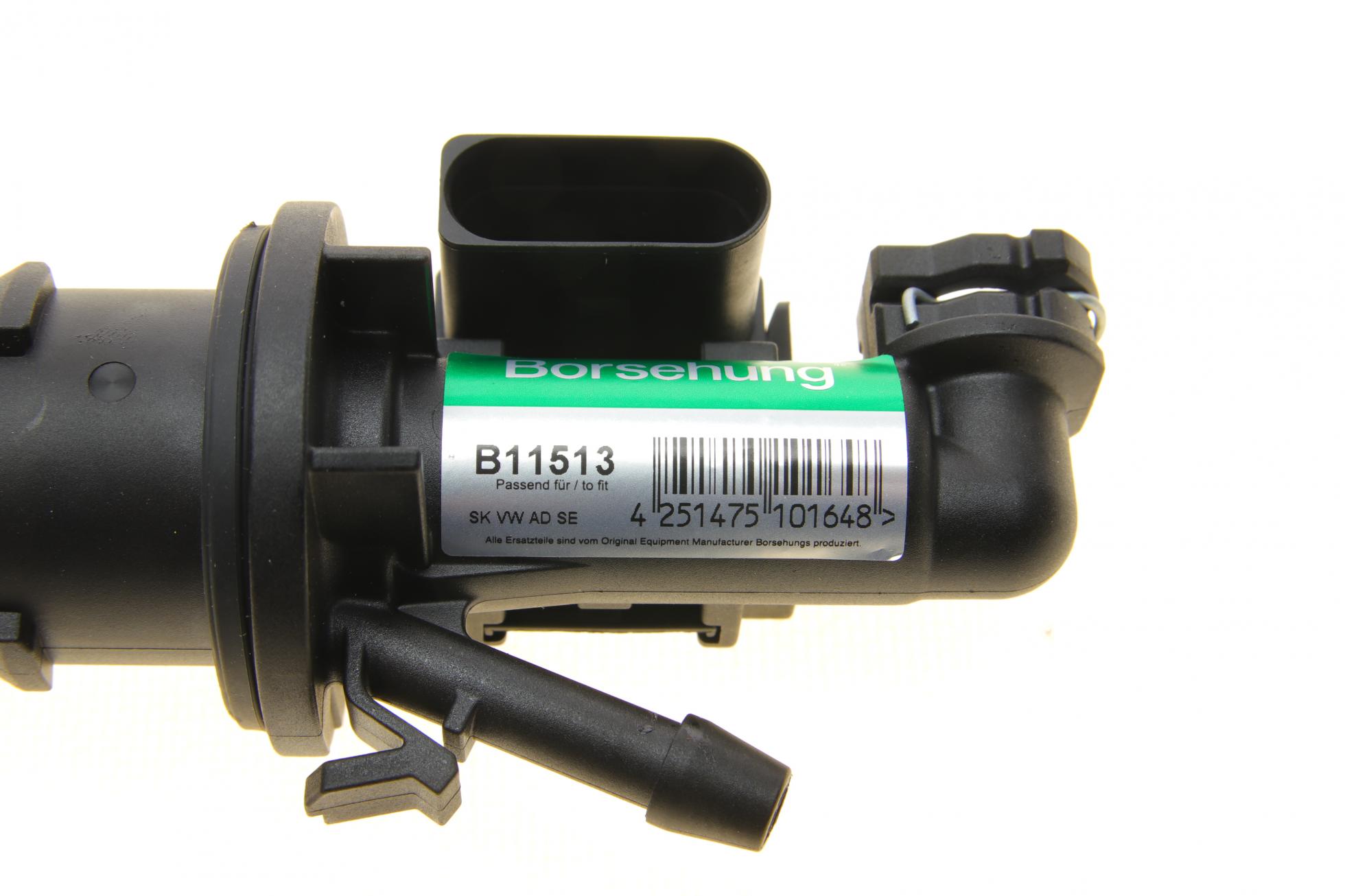 B11513 Borsehung