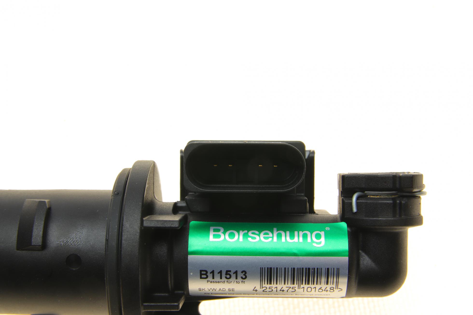 B11513 Borsehung