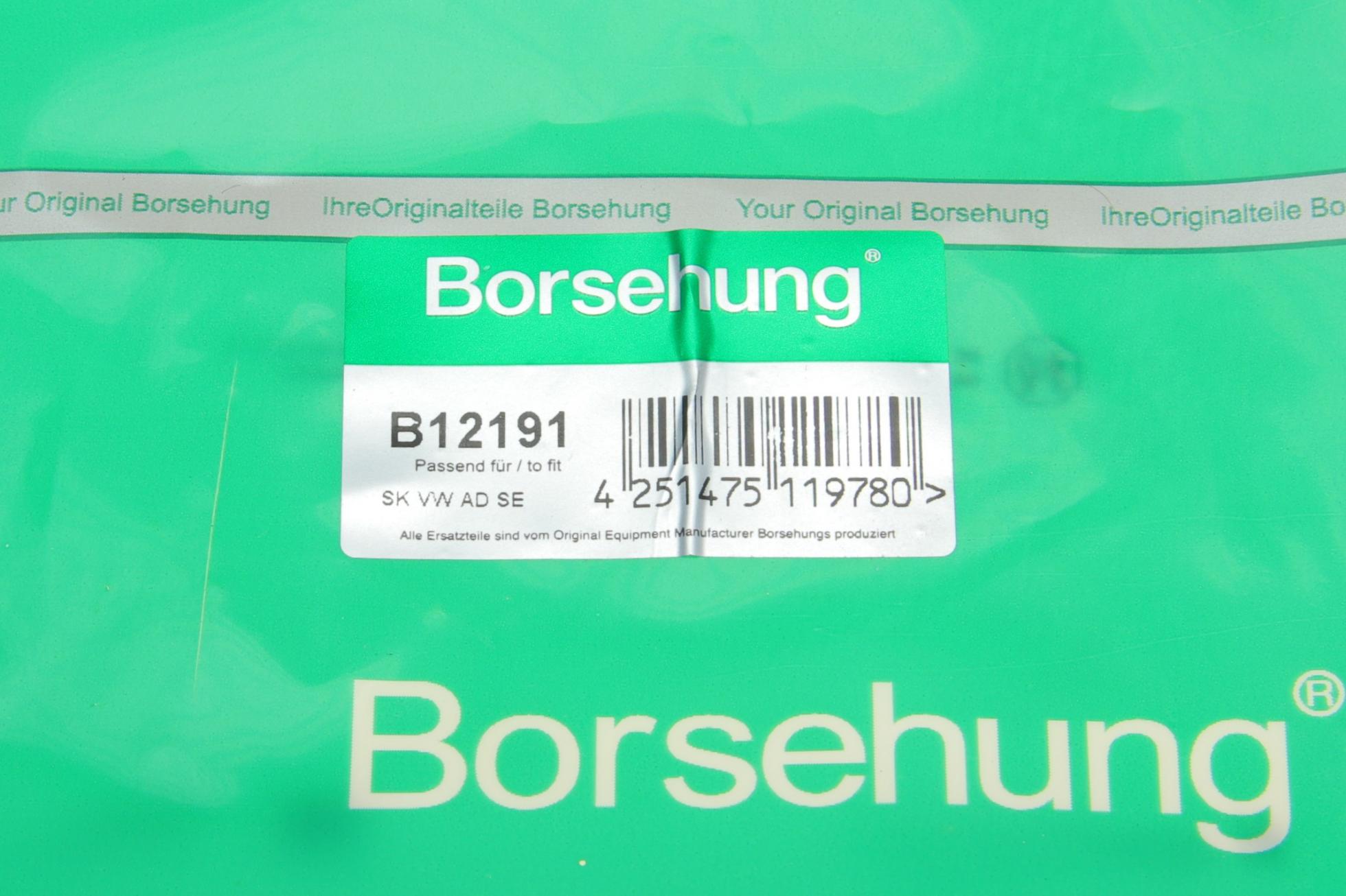 B12191 BORSEHUNG