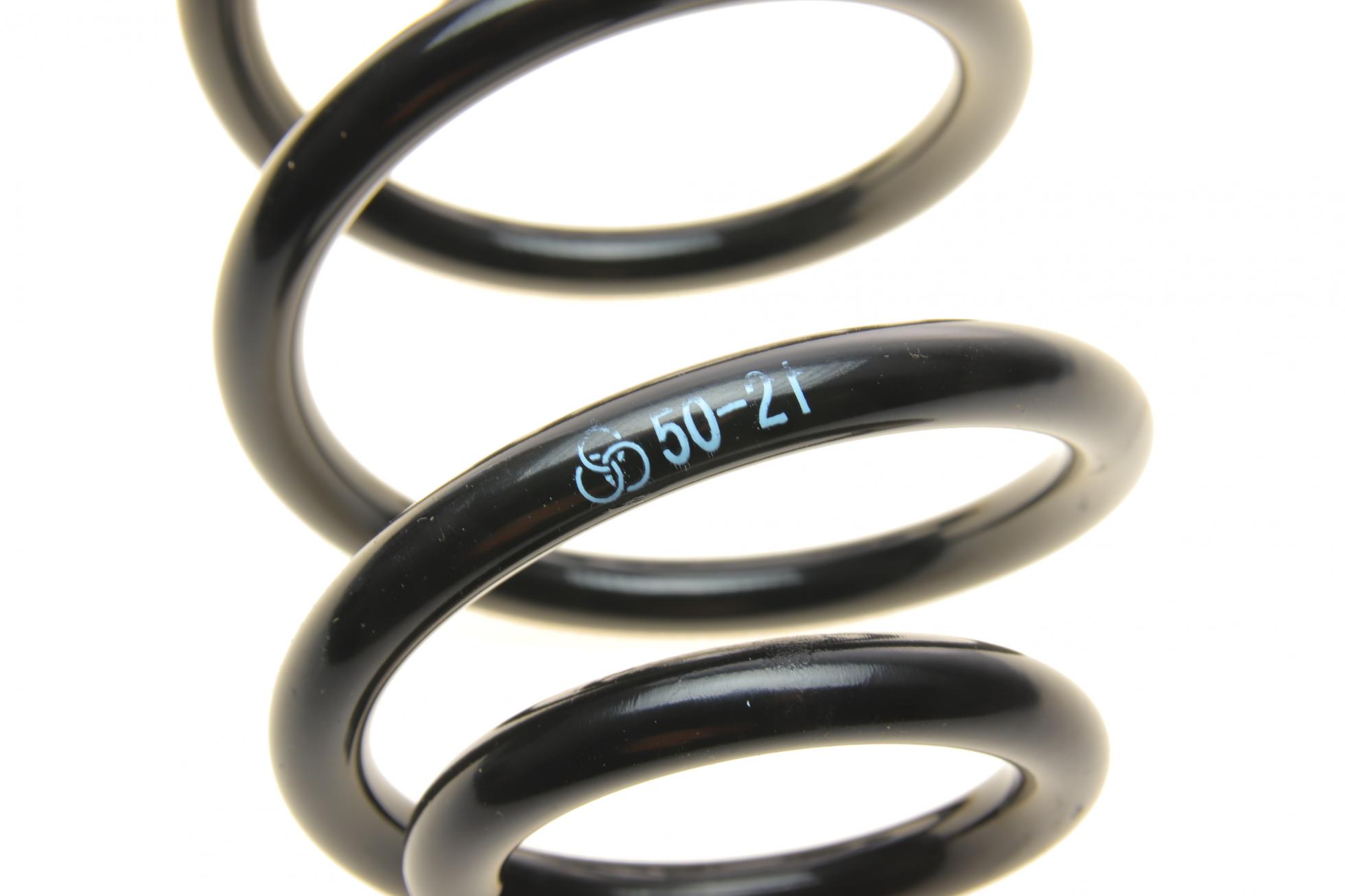 B12566 Borsehung