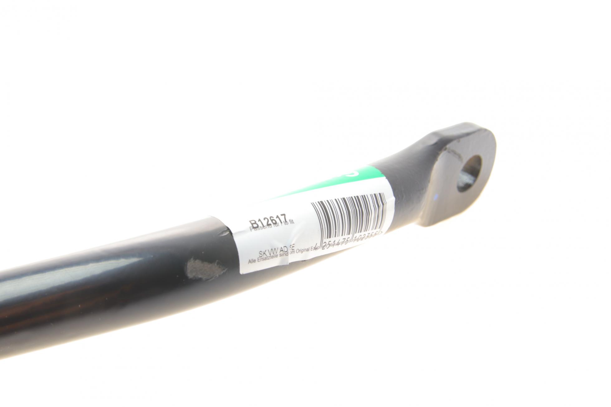 B12617 BORSEHUNG
