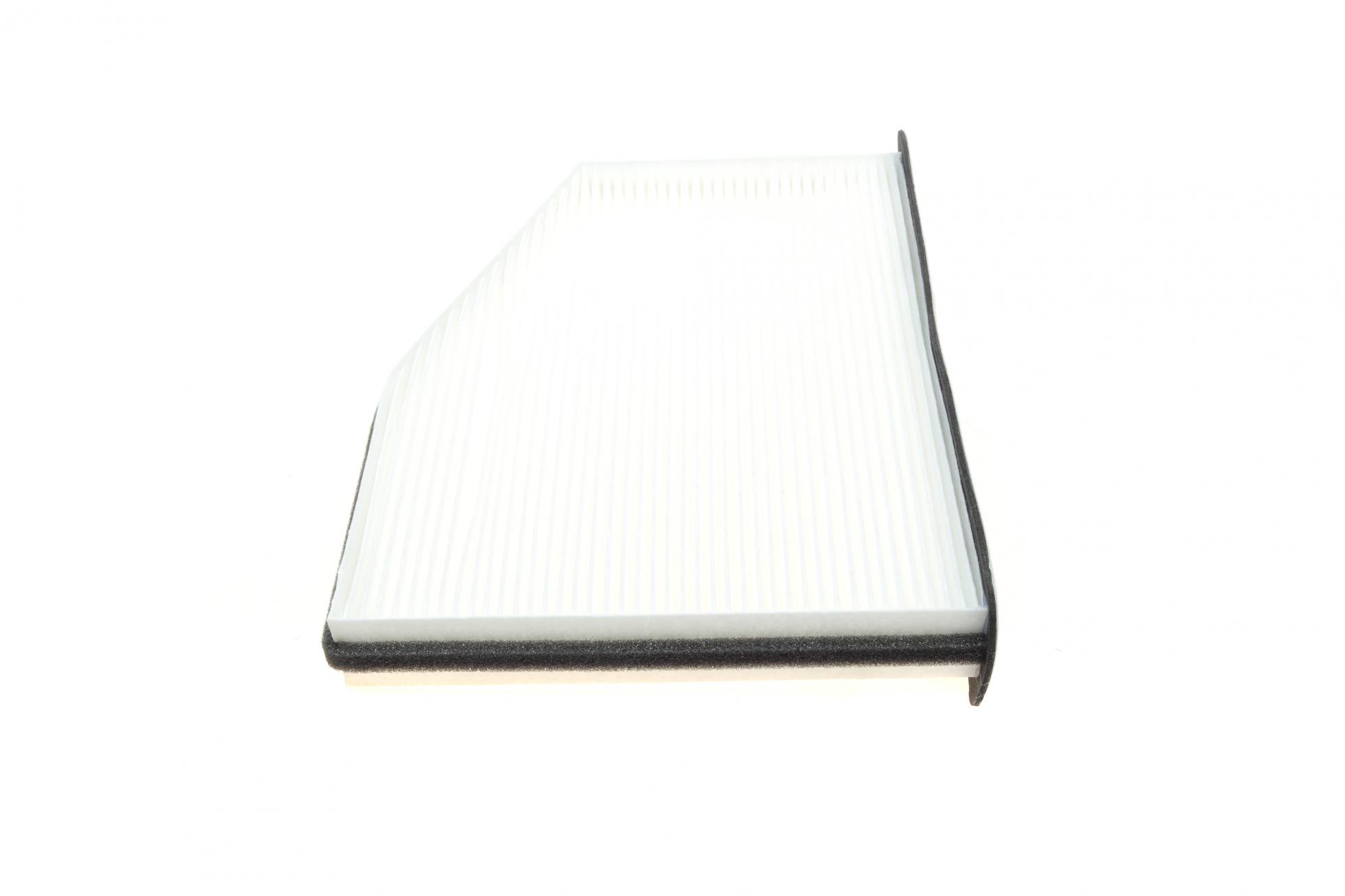 B12798 BORSEHUNG