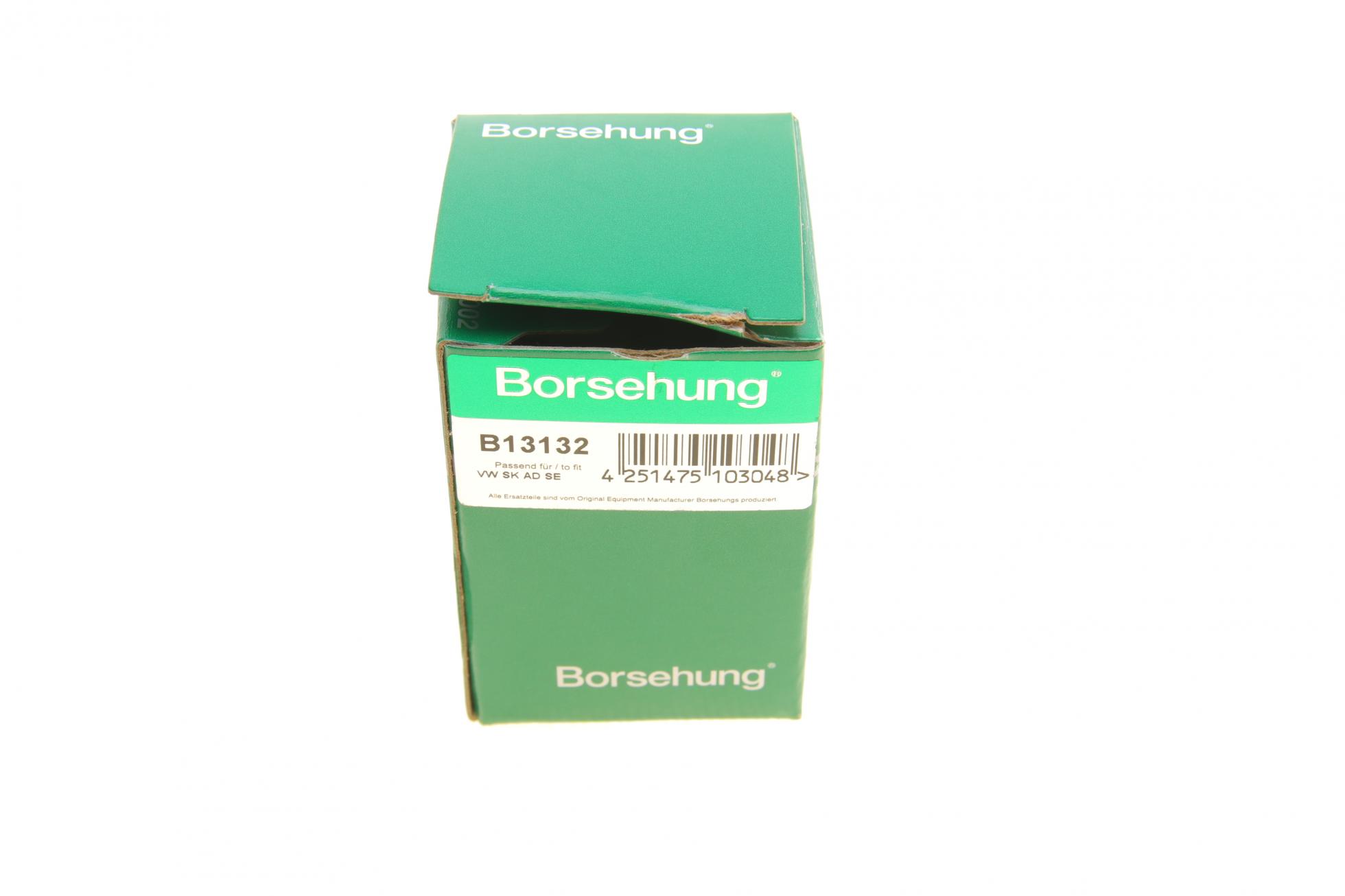 B13132 BORSEHUNG
