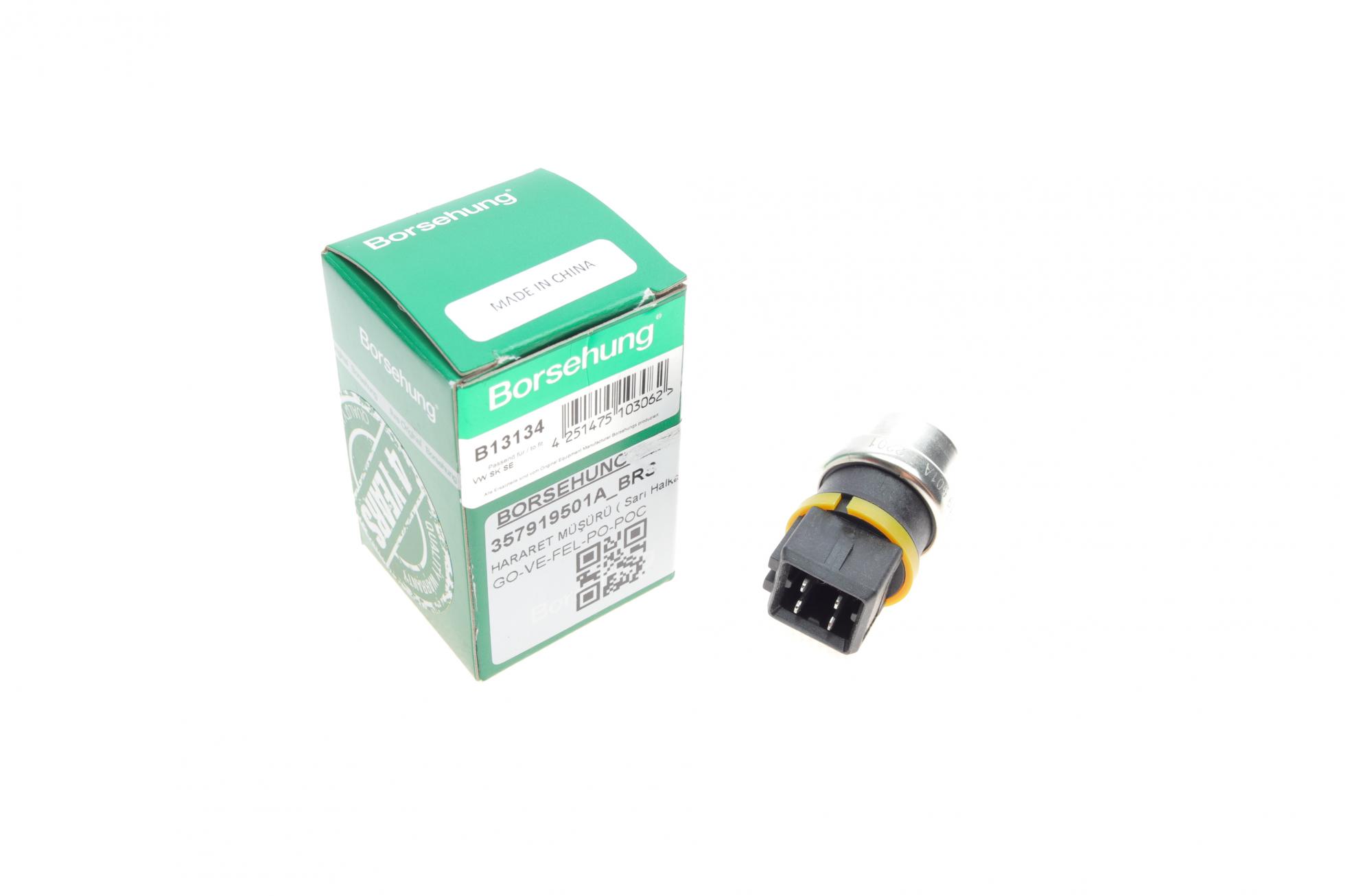 B13134 Borsehung