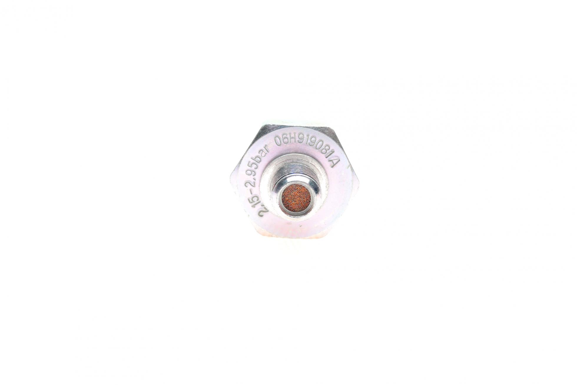 B13136 BORSEHUNG