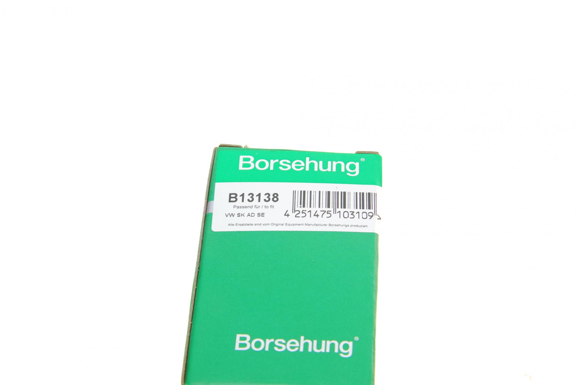 B13138 BORSEHUNG