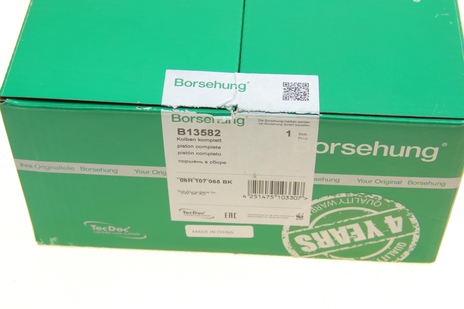 B13582 BORSEHUNG