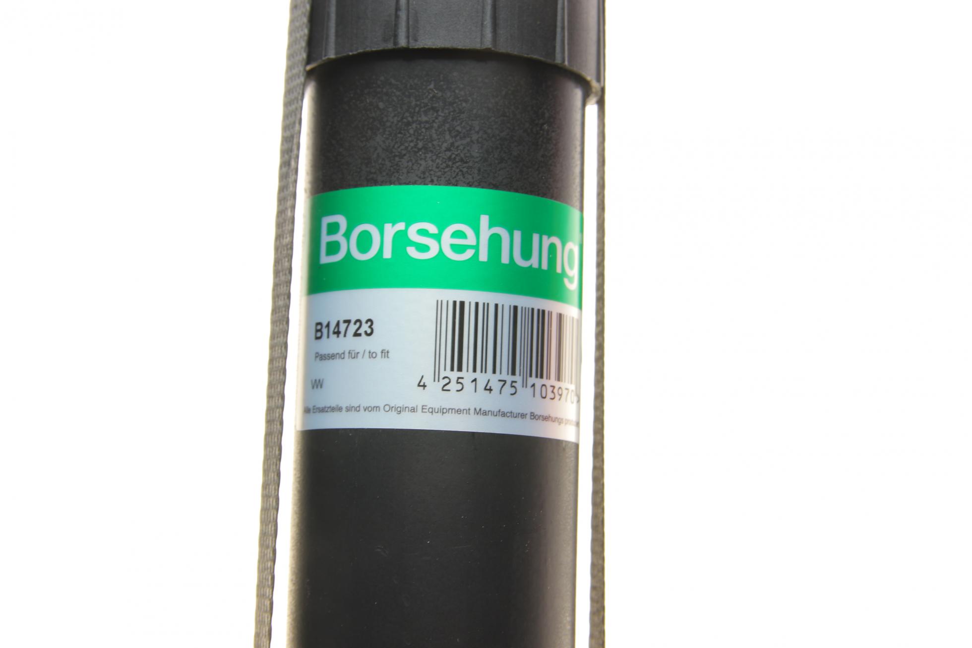 B14723 BORSEHUNG