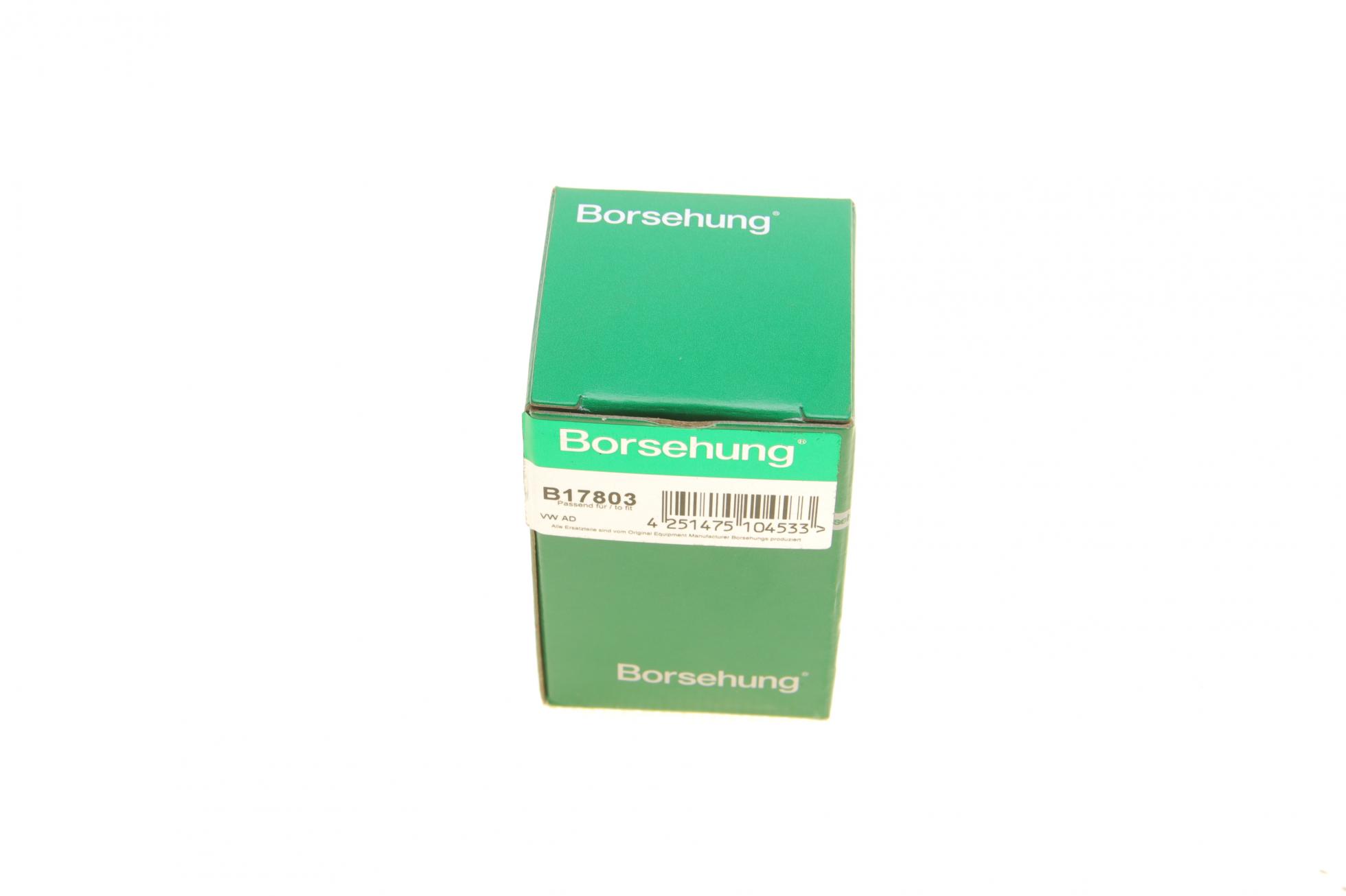 B17803 BORSEHUNG