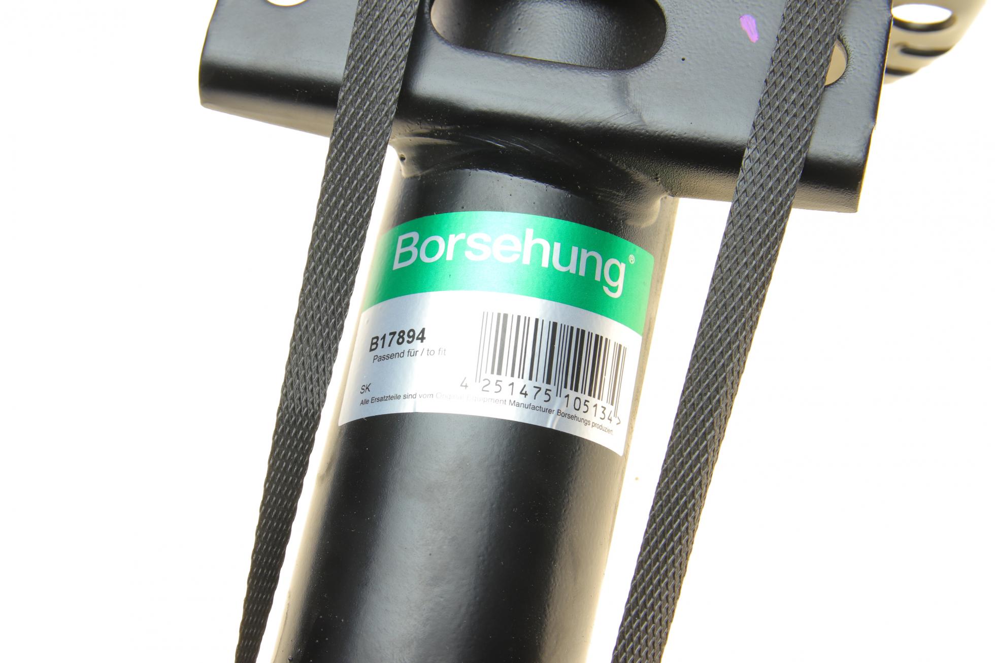 B17894 BORSEHUNG