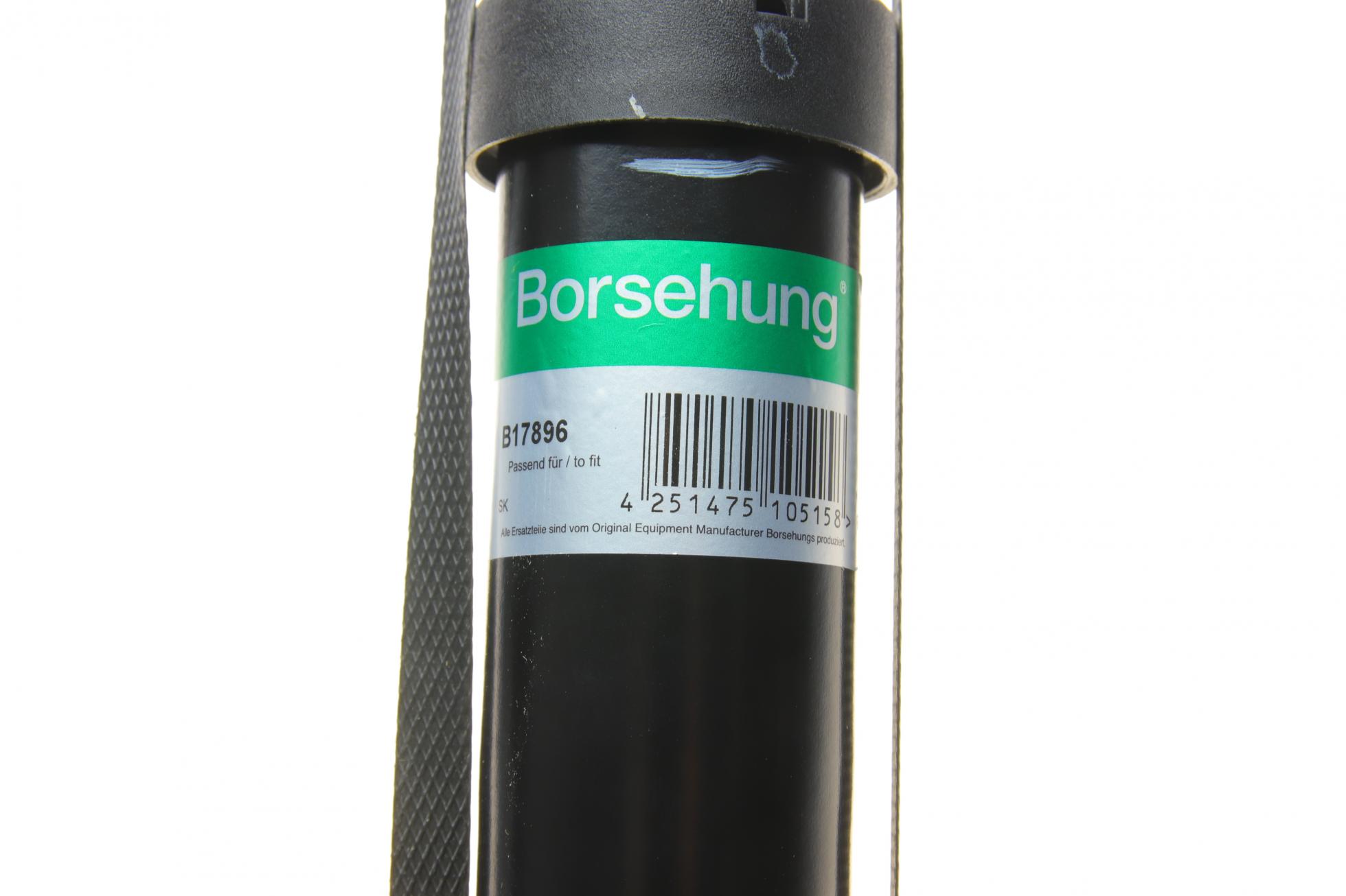 B17896 BORSEHUNG