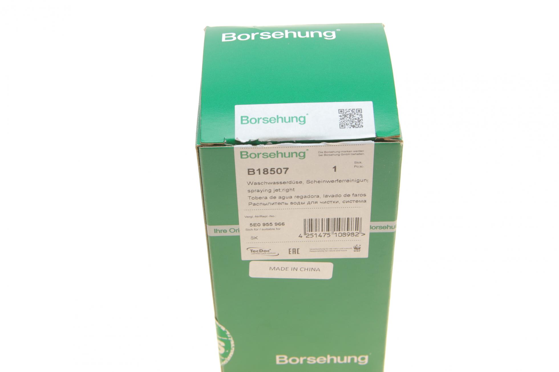 B18507 Borsehung