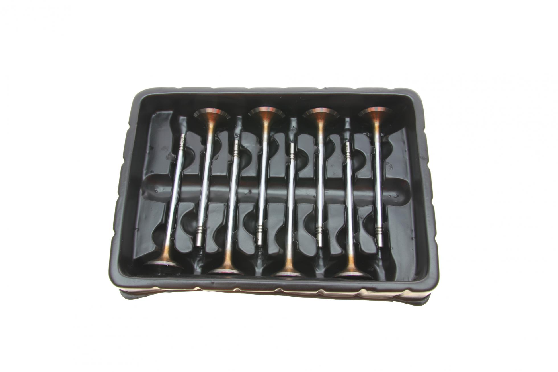 B18629 BORSEHUNG