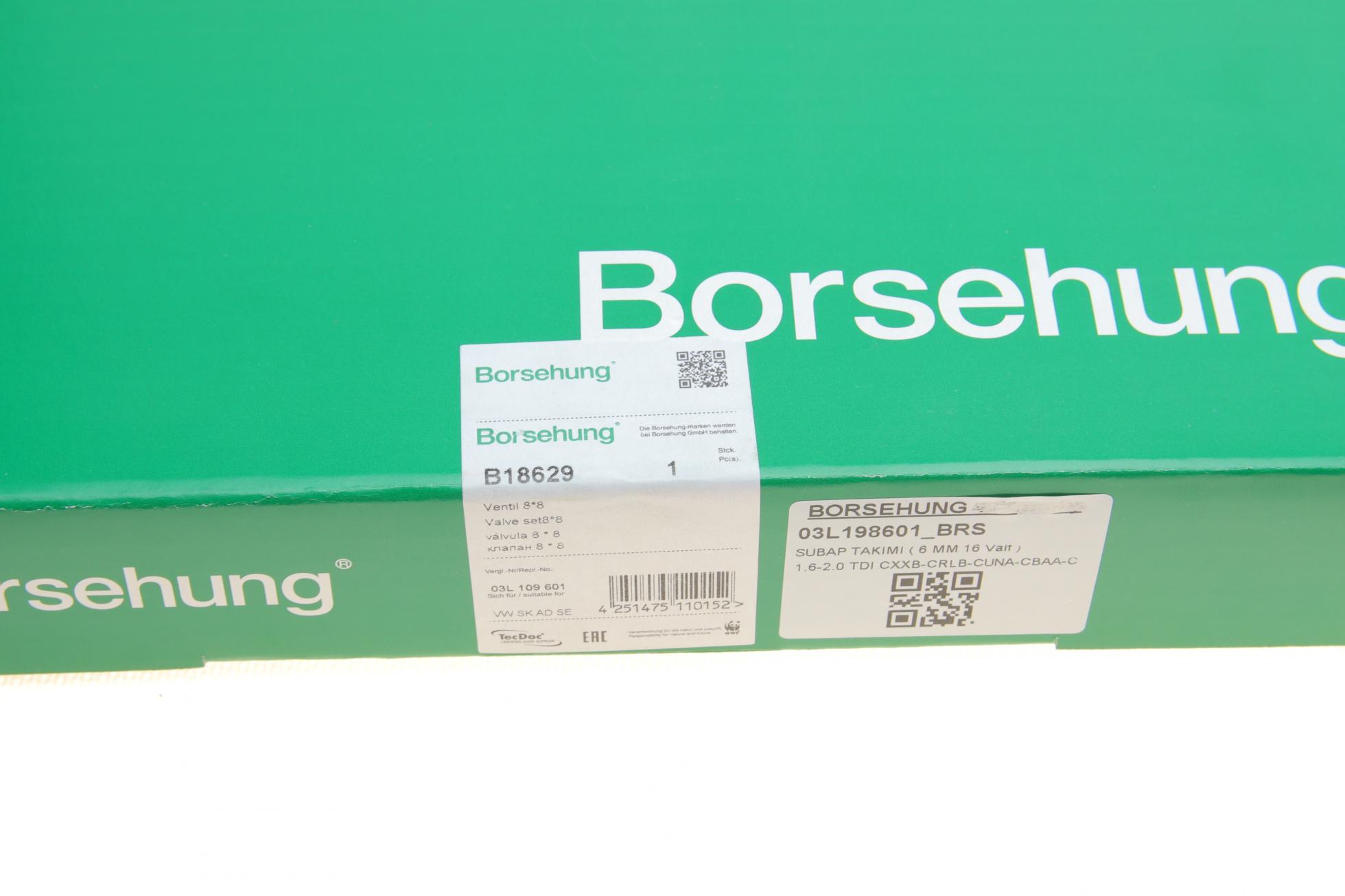 B18629 BORSEHUNG