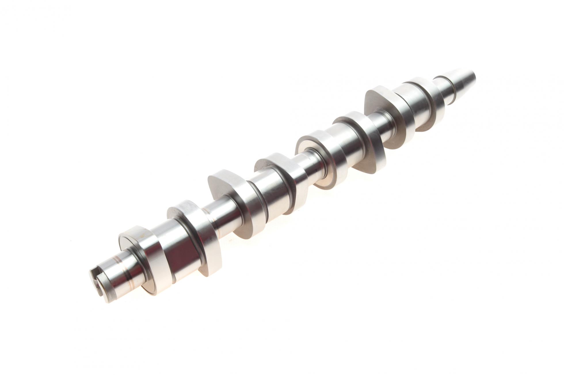 B18664 BORSEHUNG
