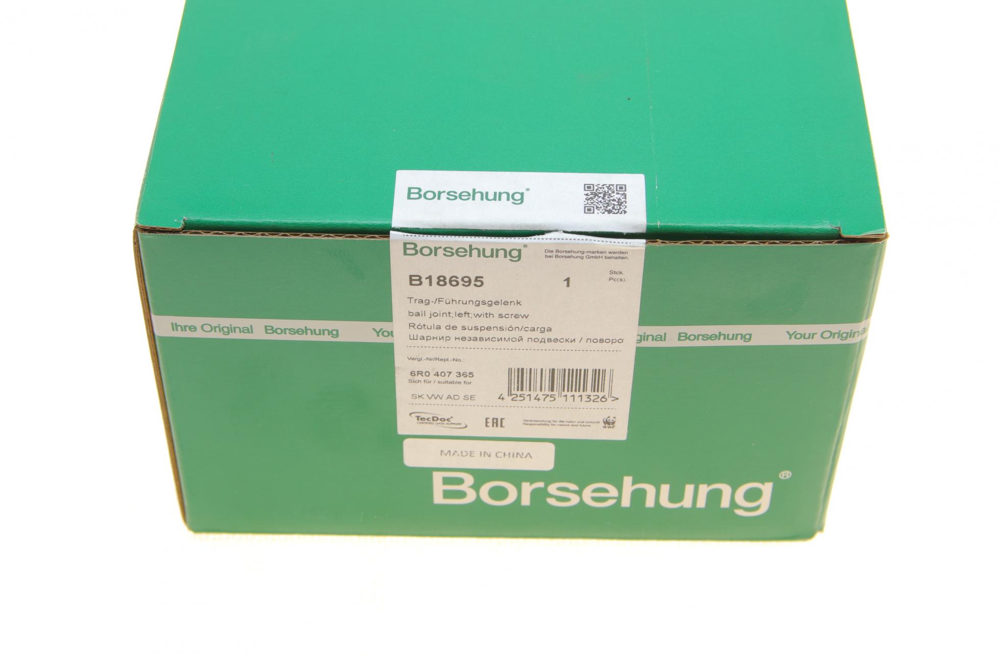 B18695 Borsehung