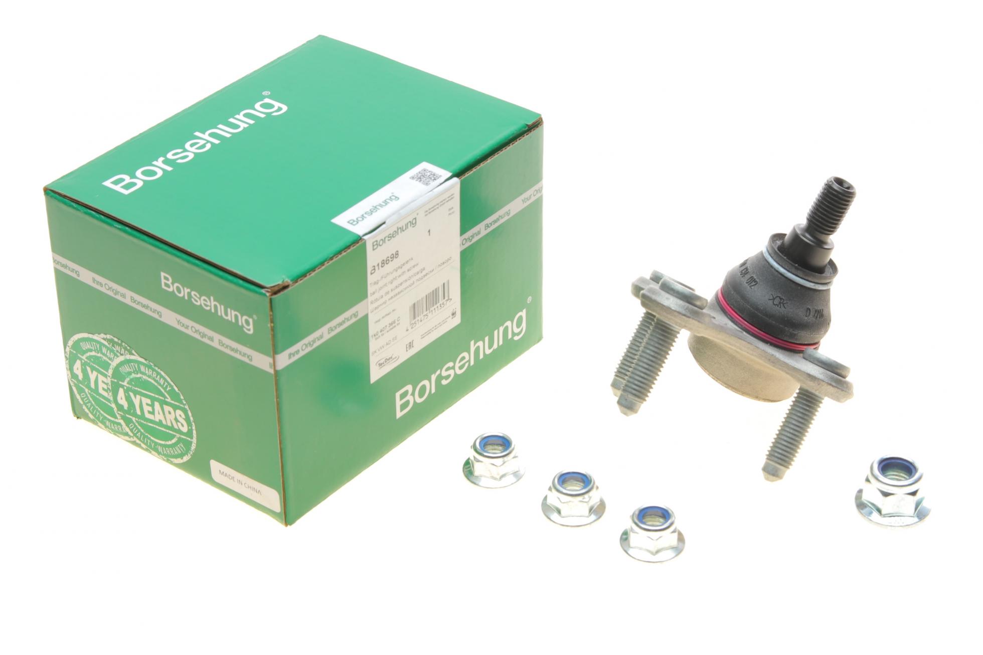 B18698 Borsehung