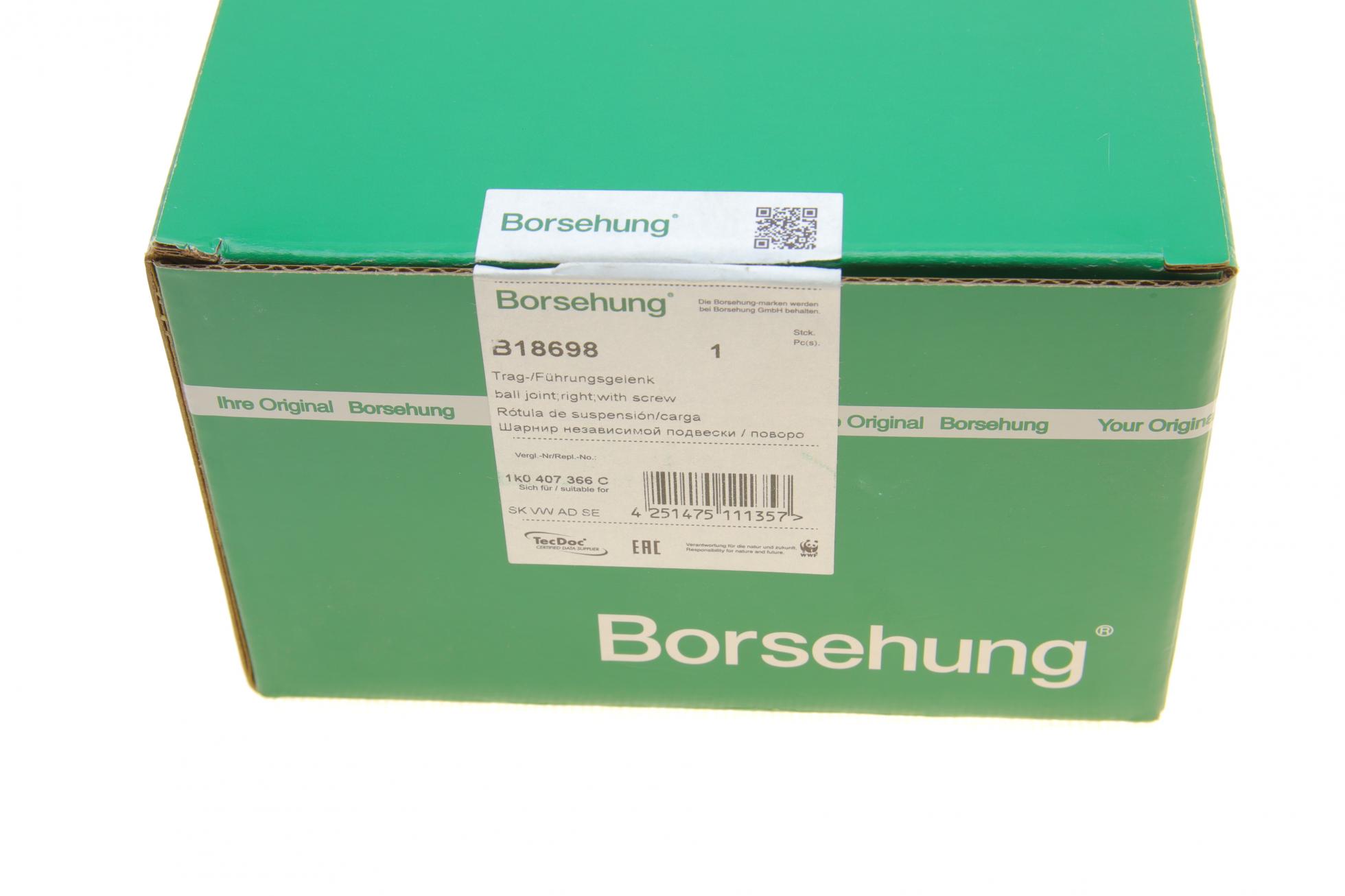 B18698 Borsehung