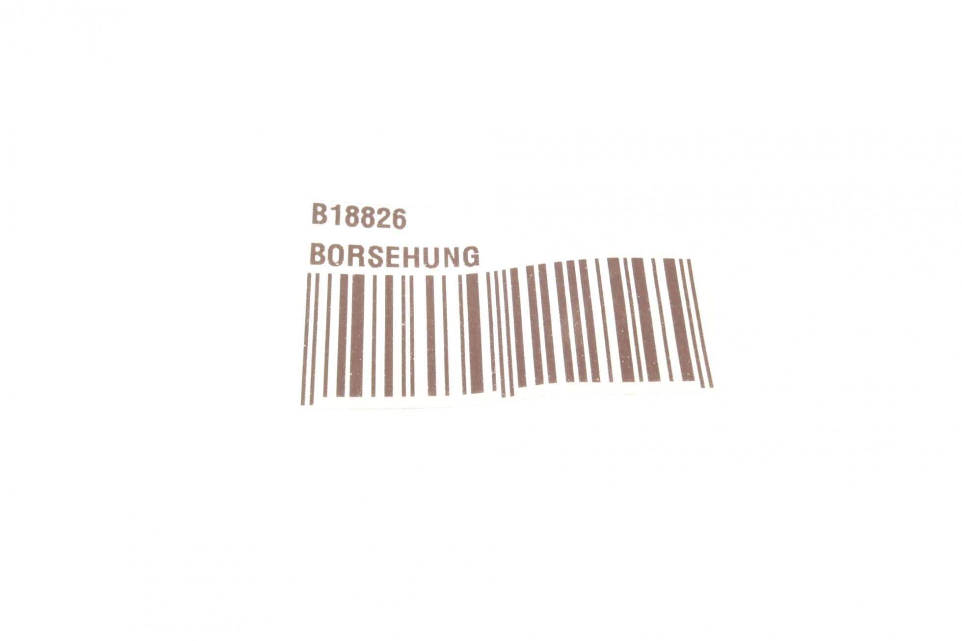 B18826 BORSEHUNG