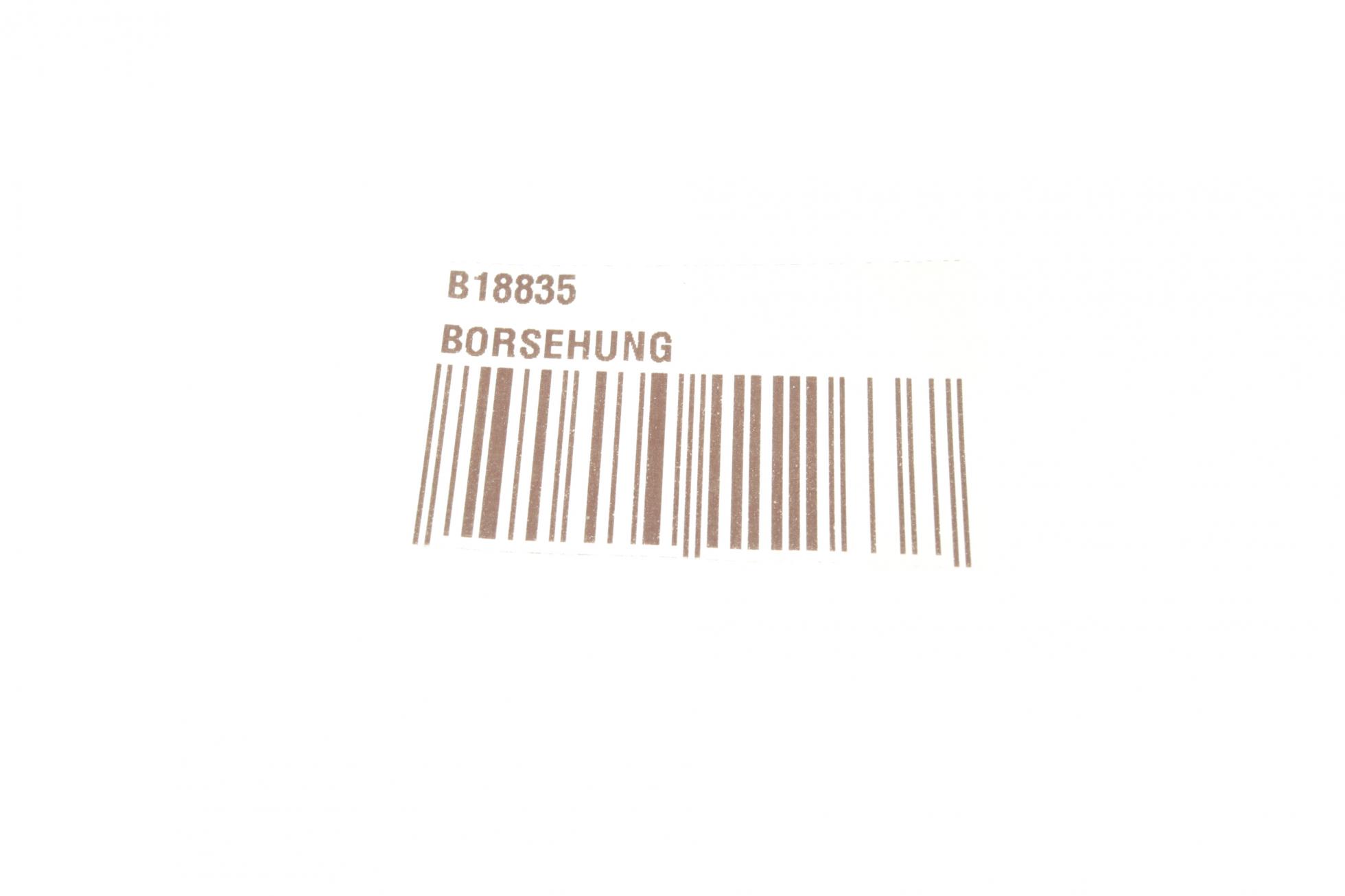 B18835 BORSEHUNG