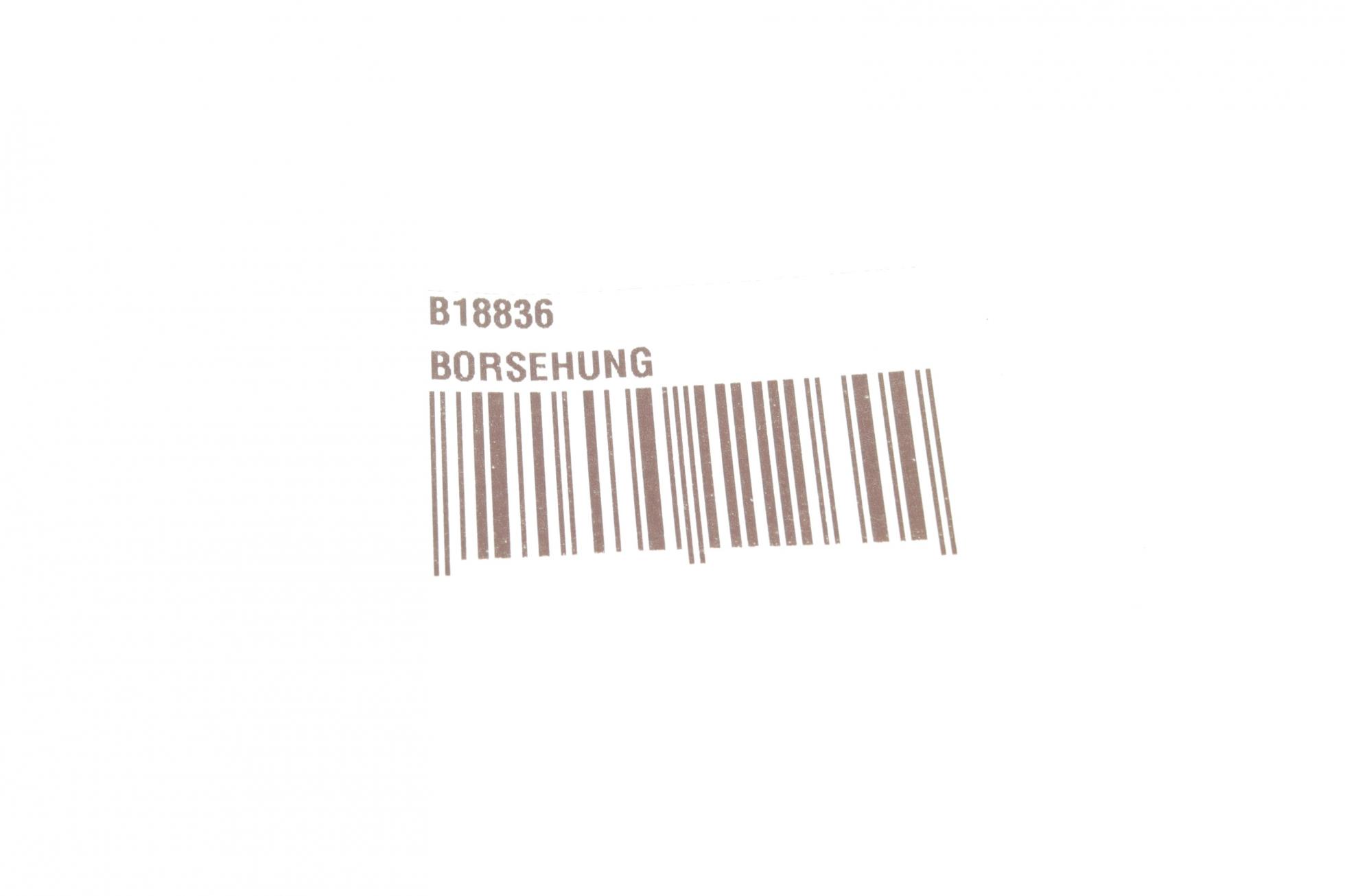 B18836 BORSEHUNG