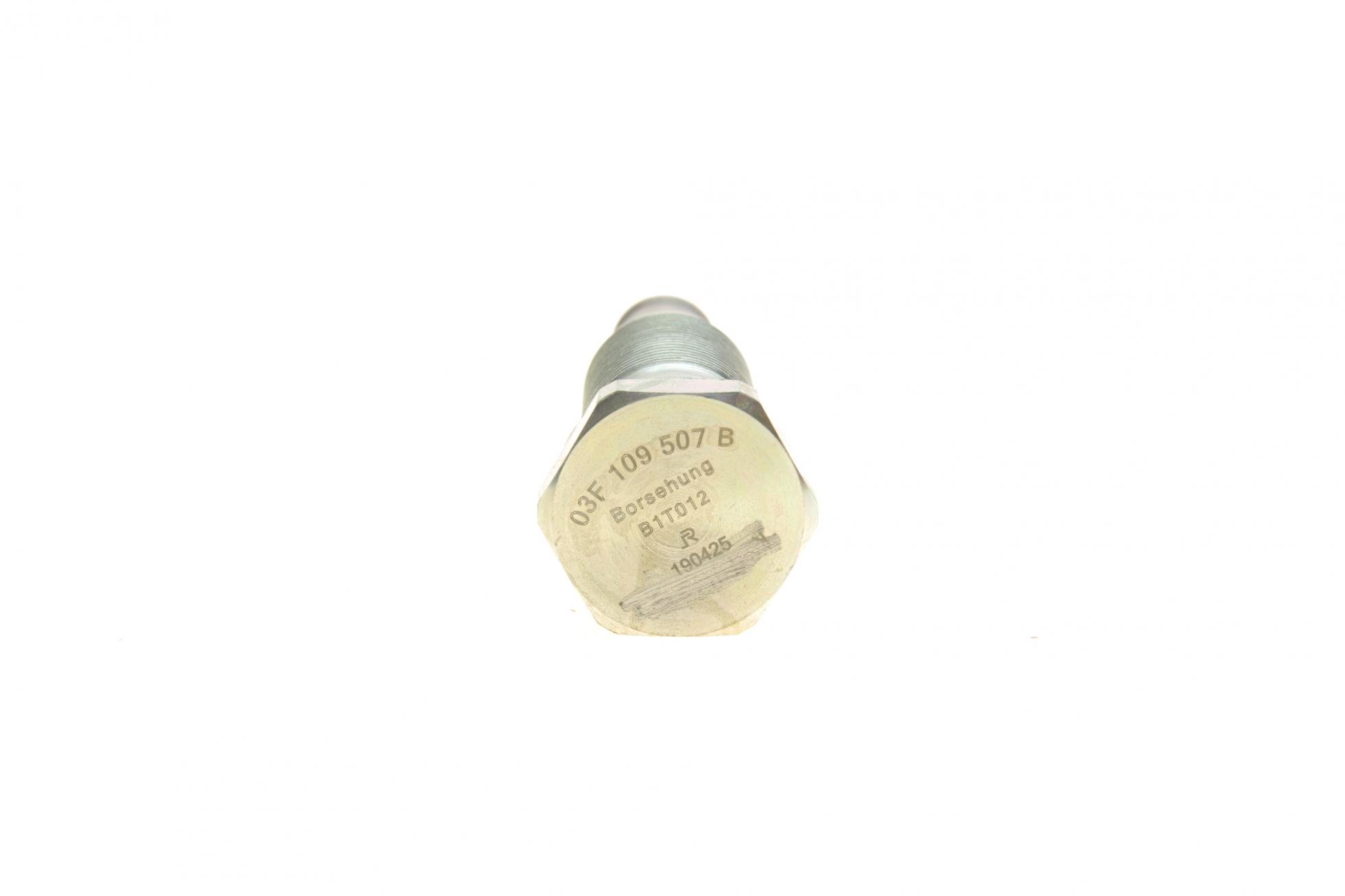 B18843 BORSEHUNG
