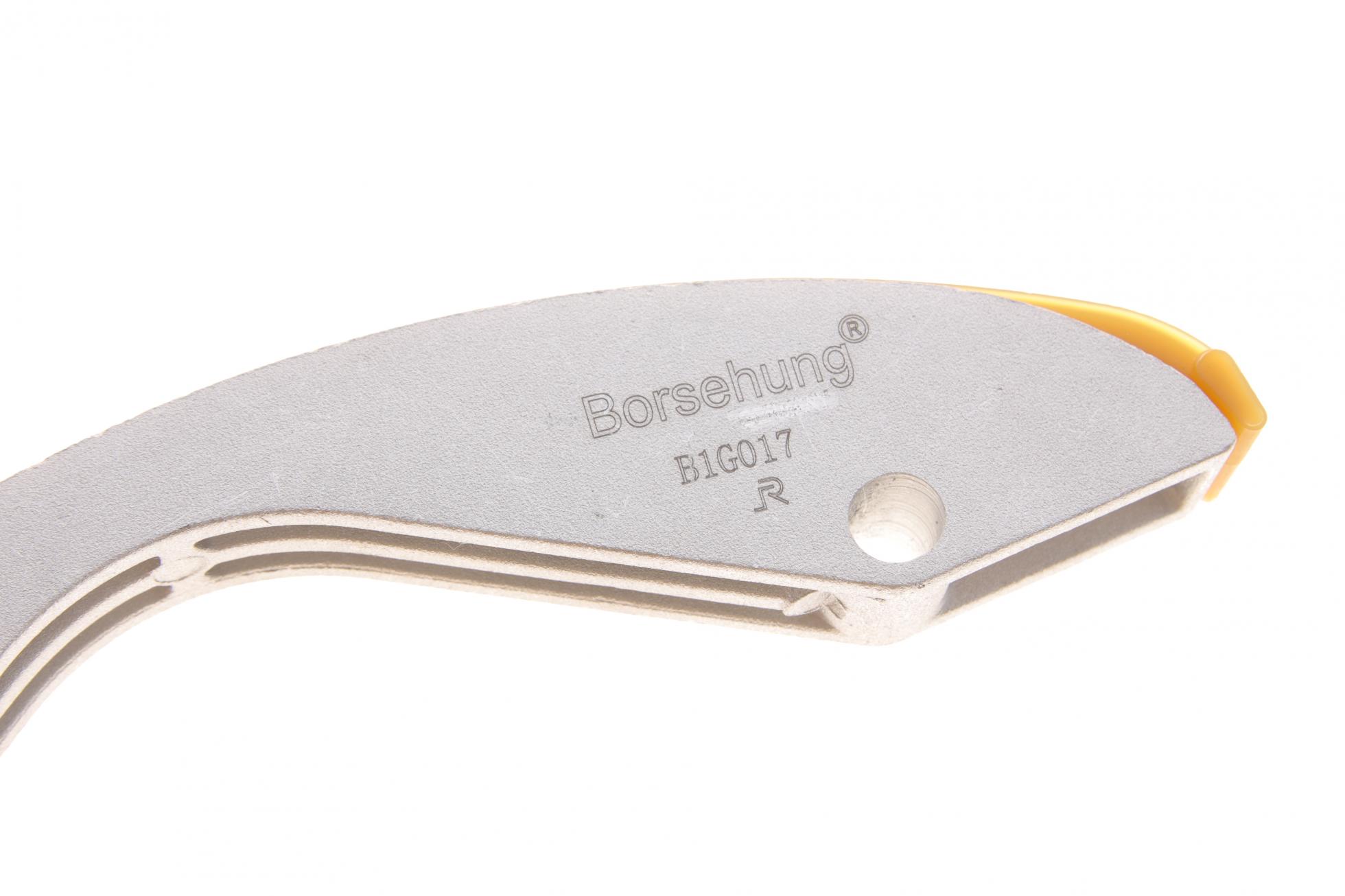 B18845 BORSEHUNG
