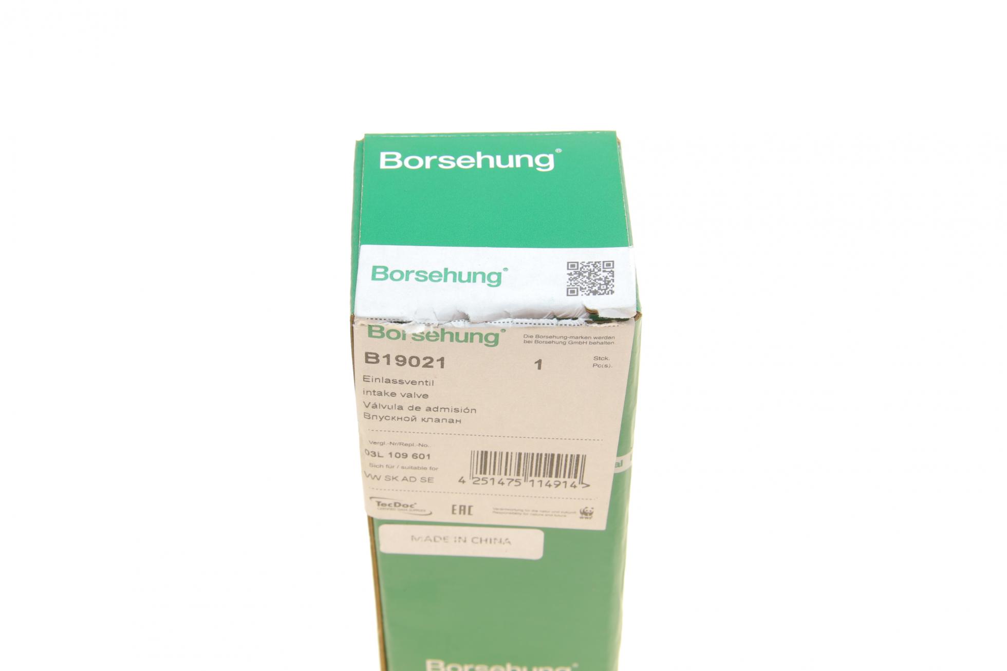 B19021 Borsehung